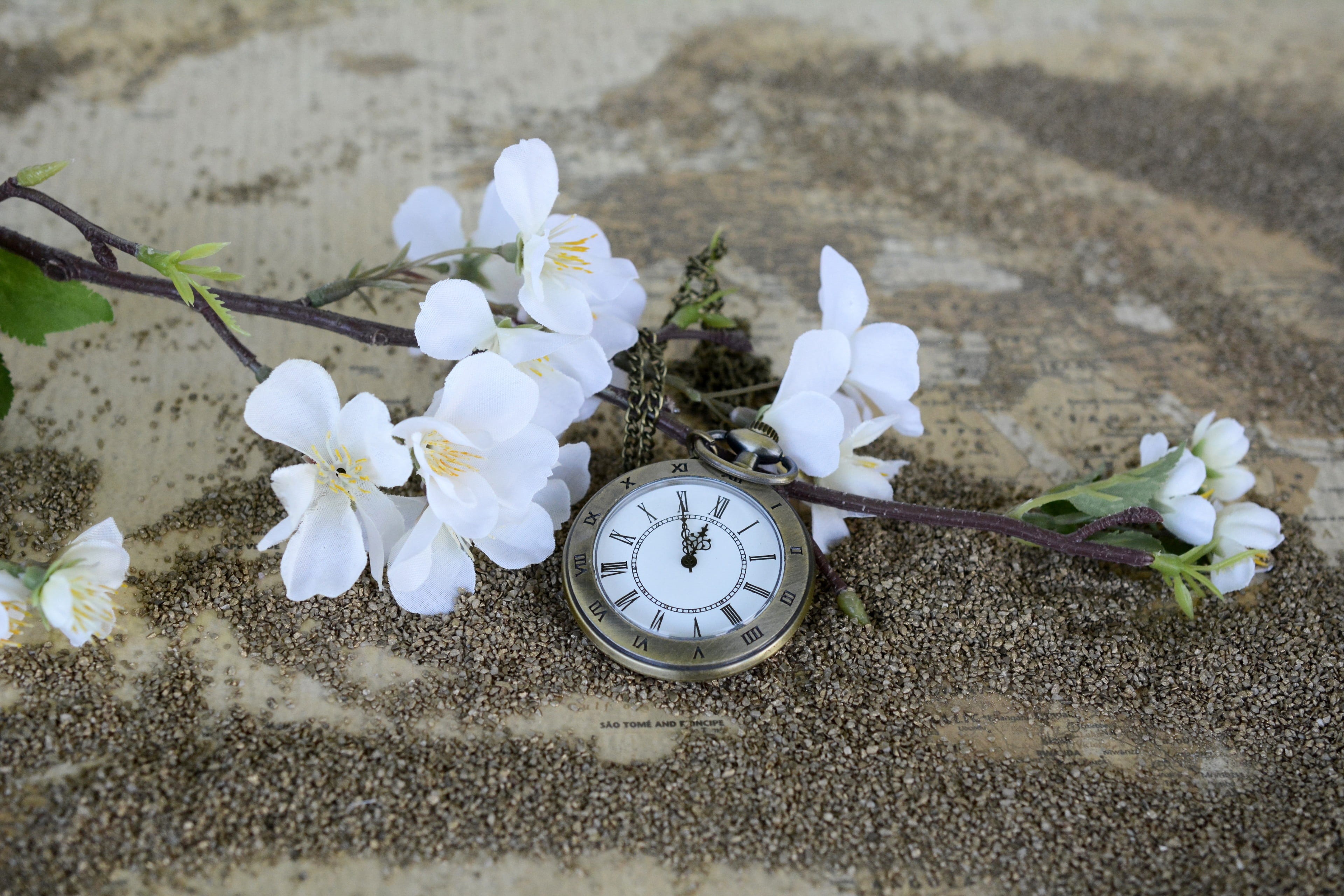 close-up, pocket watch, springtime, white color, flowering plant, freshness, colored, retro look, fragility, hours, time indicating, flowering twig, beauty in nature, HD Wallpaper