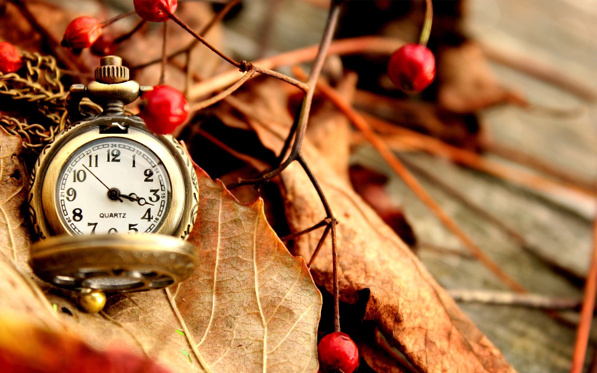 1080P, Watch, Leaves, Autumn, Pocket, HD Wallpaper