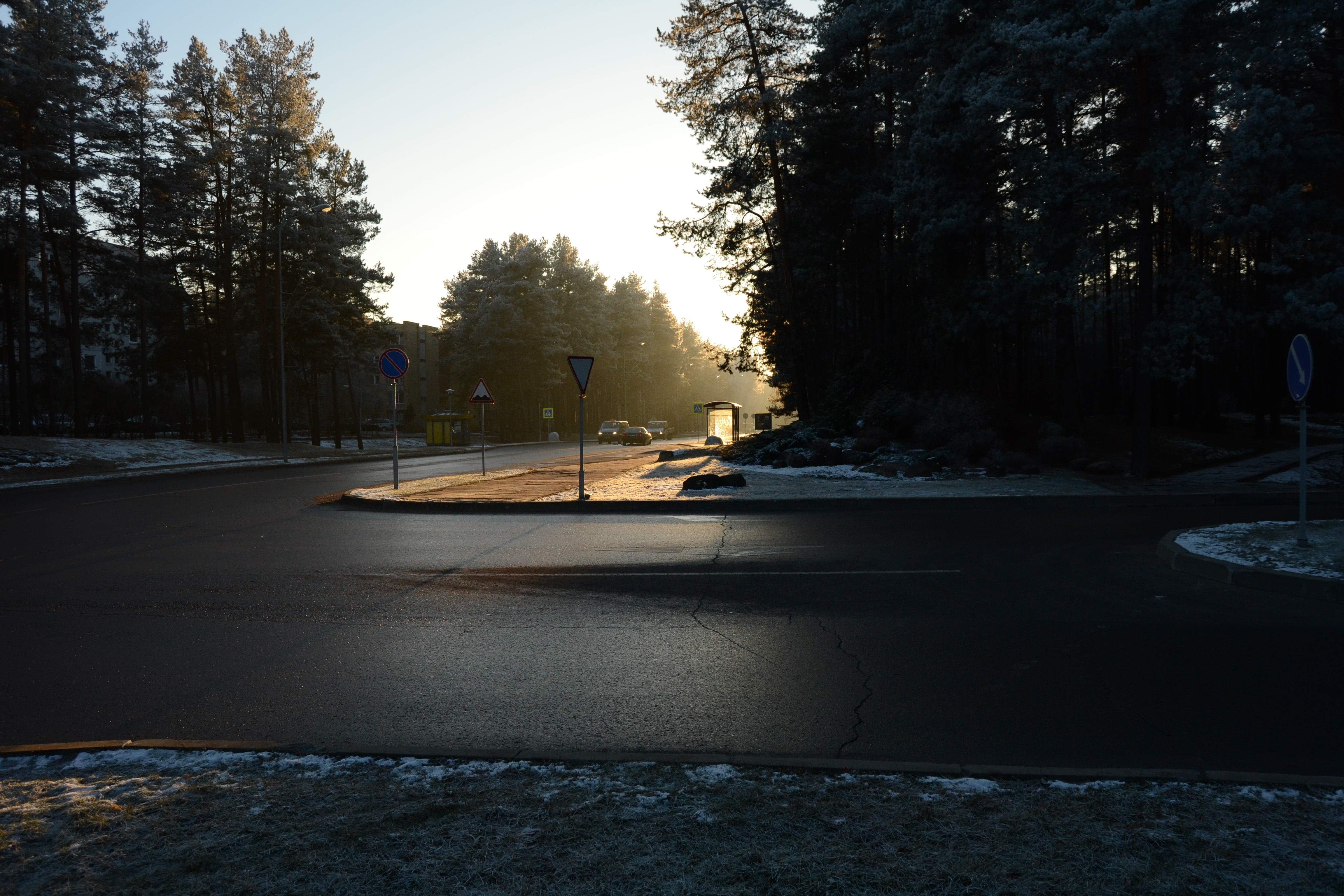 road, plant, sunset, traffic, outdoors, concrete, 4K, nature, tree, sunlight, winter, trees, sky, growth, street, snow, no people, transportation, cold temperature, HD Wallpaper