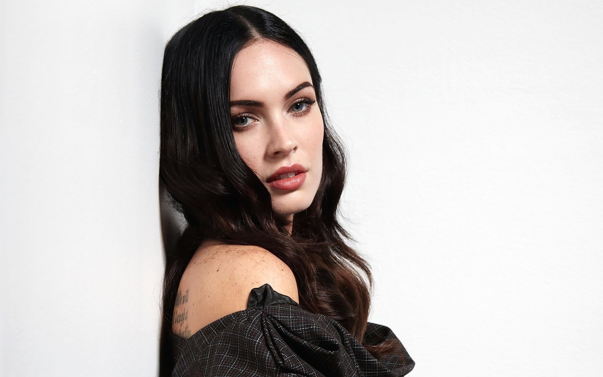 Fox, 1080P, Megan, HD Wallpaper