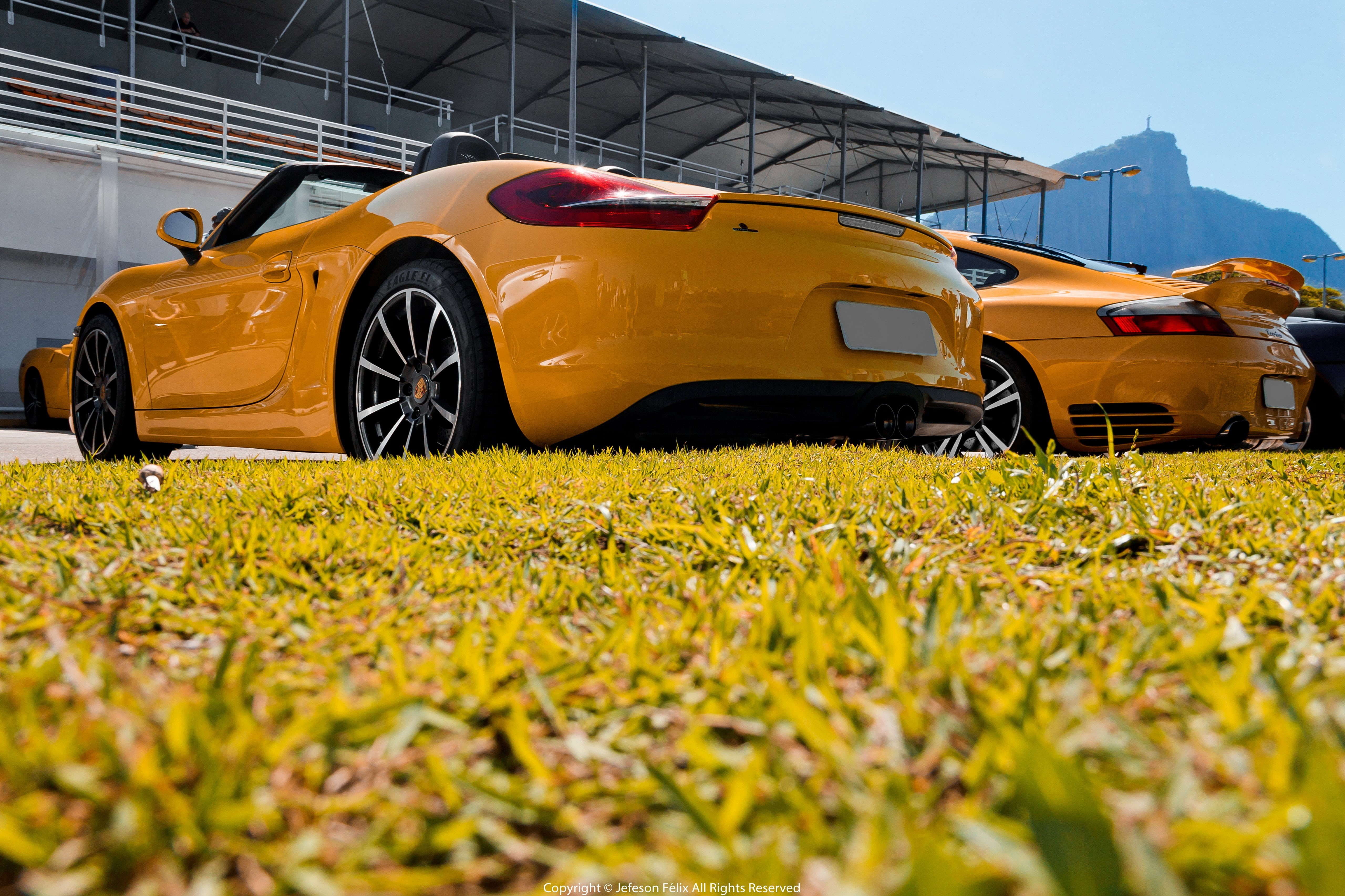 nature, mode of transportation, grass, sunlight, plant, motor vehicle, transportation, selective focus, Porsche 911 Carrera S, no people, day, car, land vehicle, HD Wallpaper
