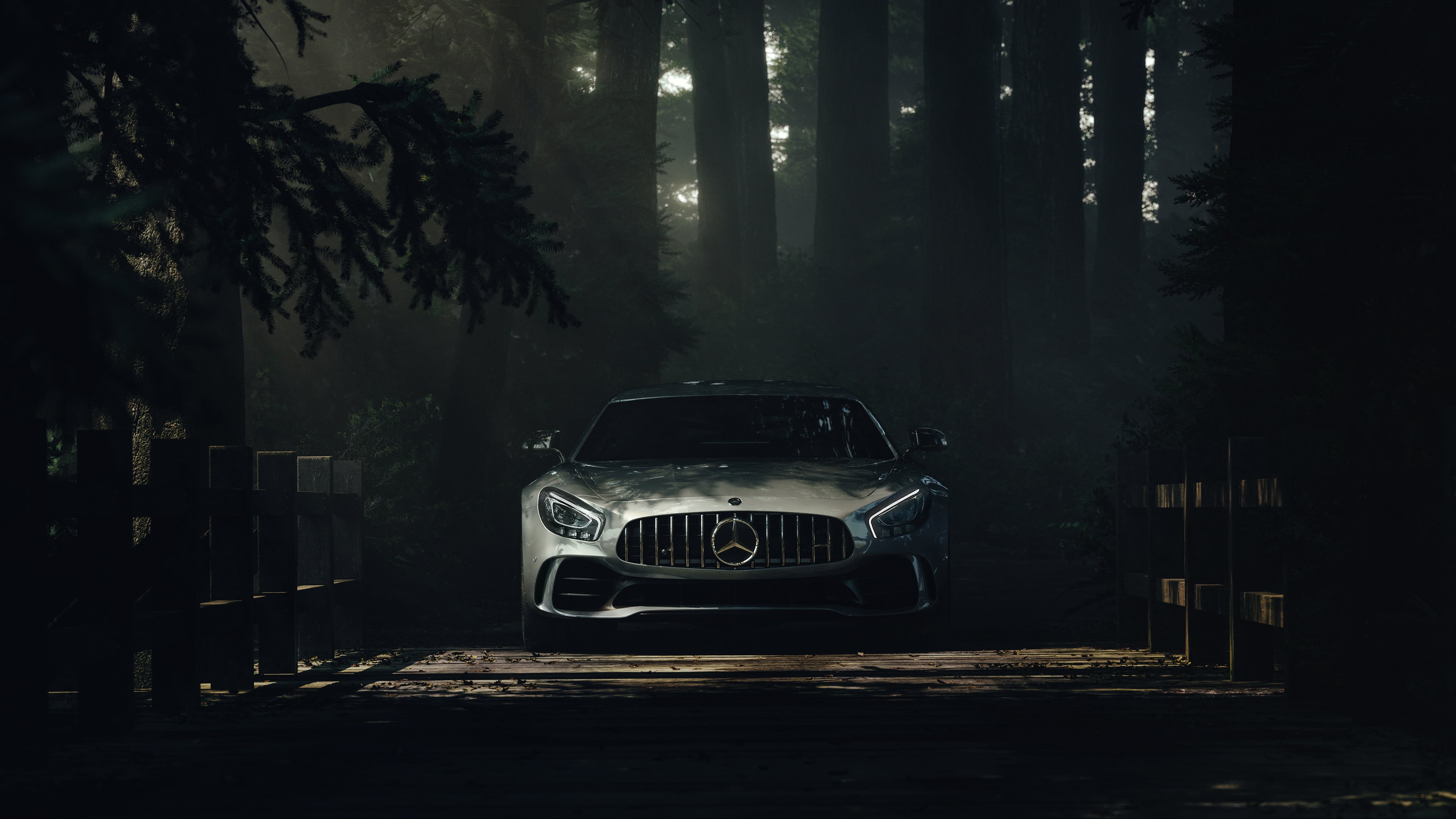 shadow, car, 4K, Mercedes-Benz S Class, forest, HD Wallpaper