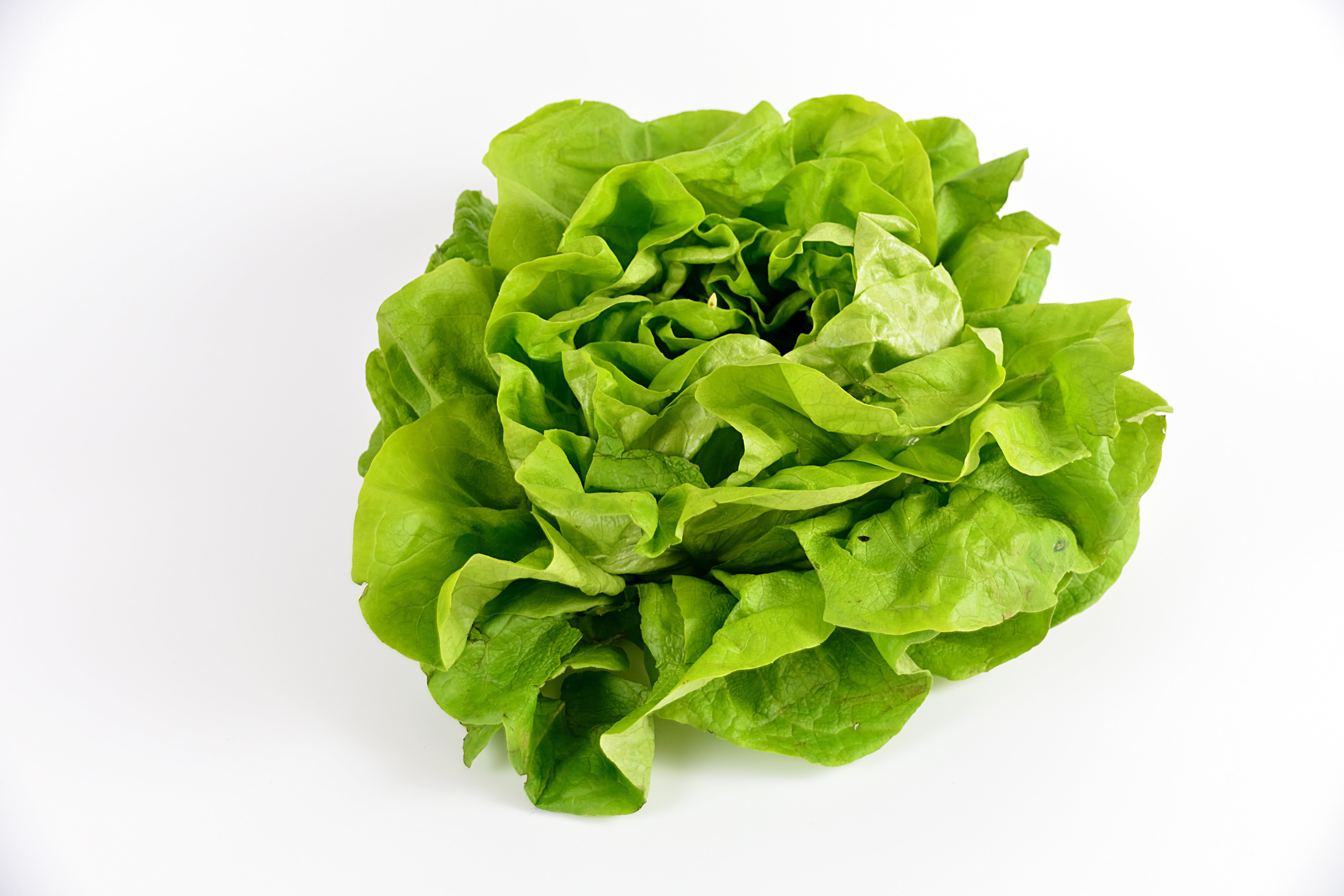 dieting, cut out, indoors, 5K, green color, plant, agriculture, green, vegetarian food, close-up, bio, food and drink, plant part, nature, meals, power, HD Wallpaper