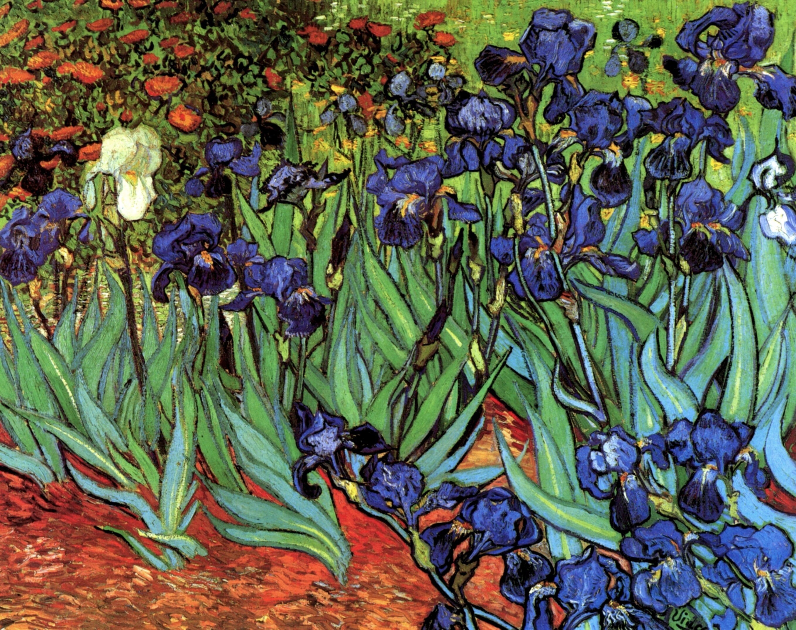 2K, different colors, Irises, Vincent van Gogh, HD Wallpaper