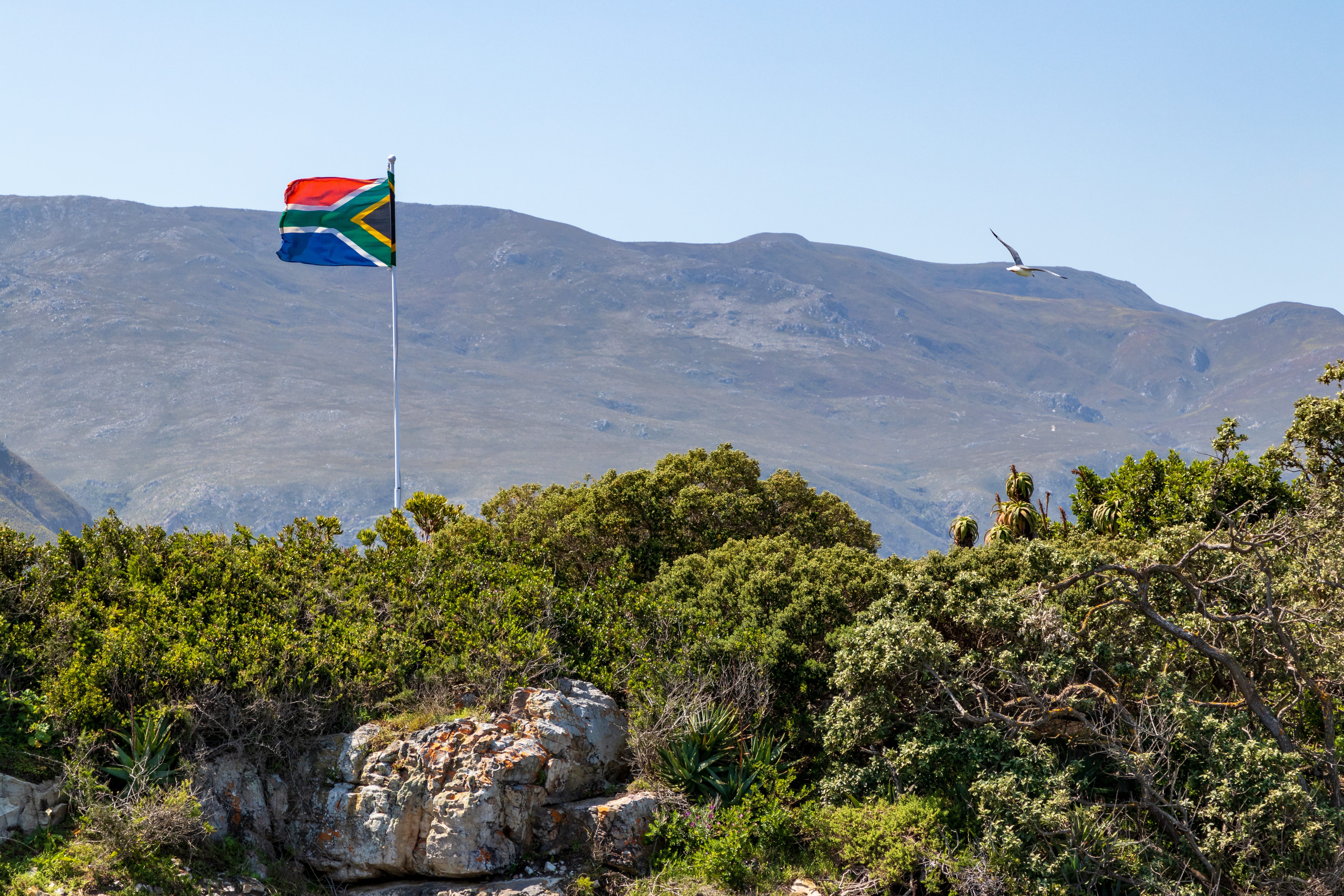 plants, south african, patriotism, outdoors, rock, tranquil scene, tranquility, blowing flag, south africa, scenics - nature, nature, flag, landscape, rocks, HD Wallpaper