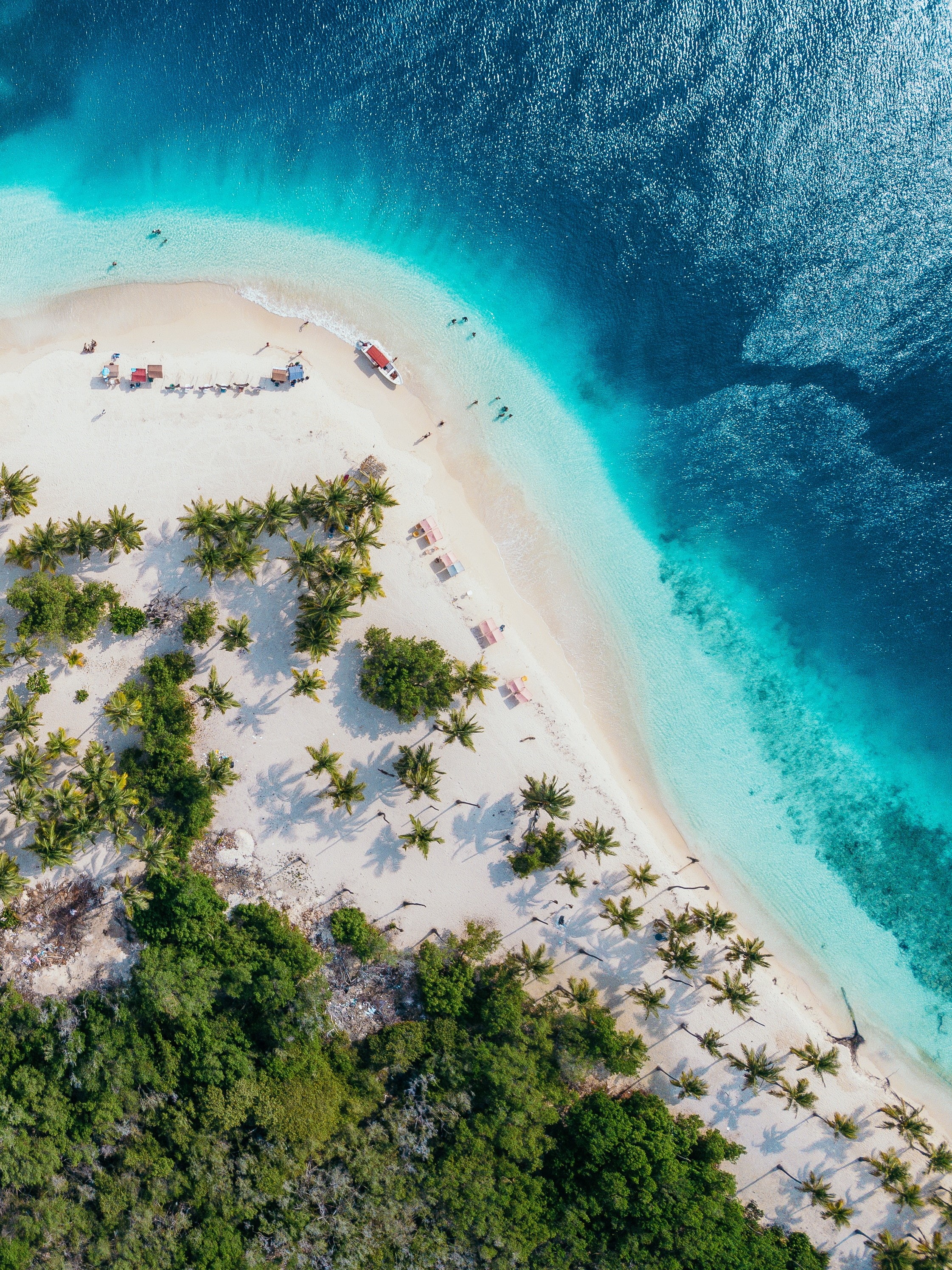 holiday, plant, travel, aerial view, tree, water, sand, 2K, top view, scenics - nature, aquatic sport, sea, underwater, people, beauty in nature, sport, Phone HD Wallpaper
