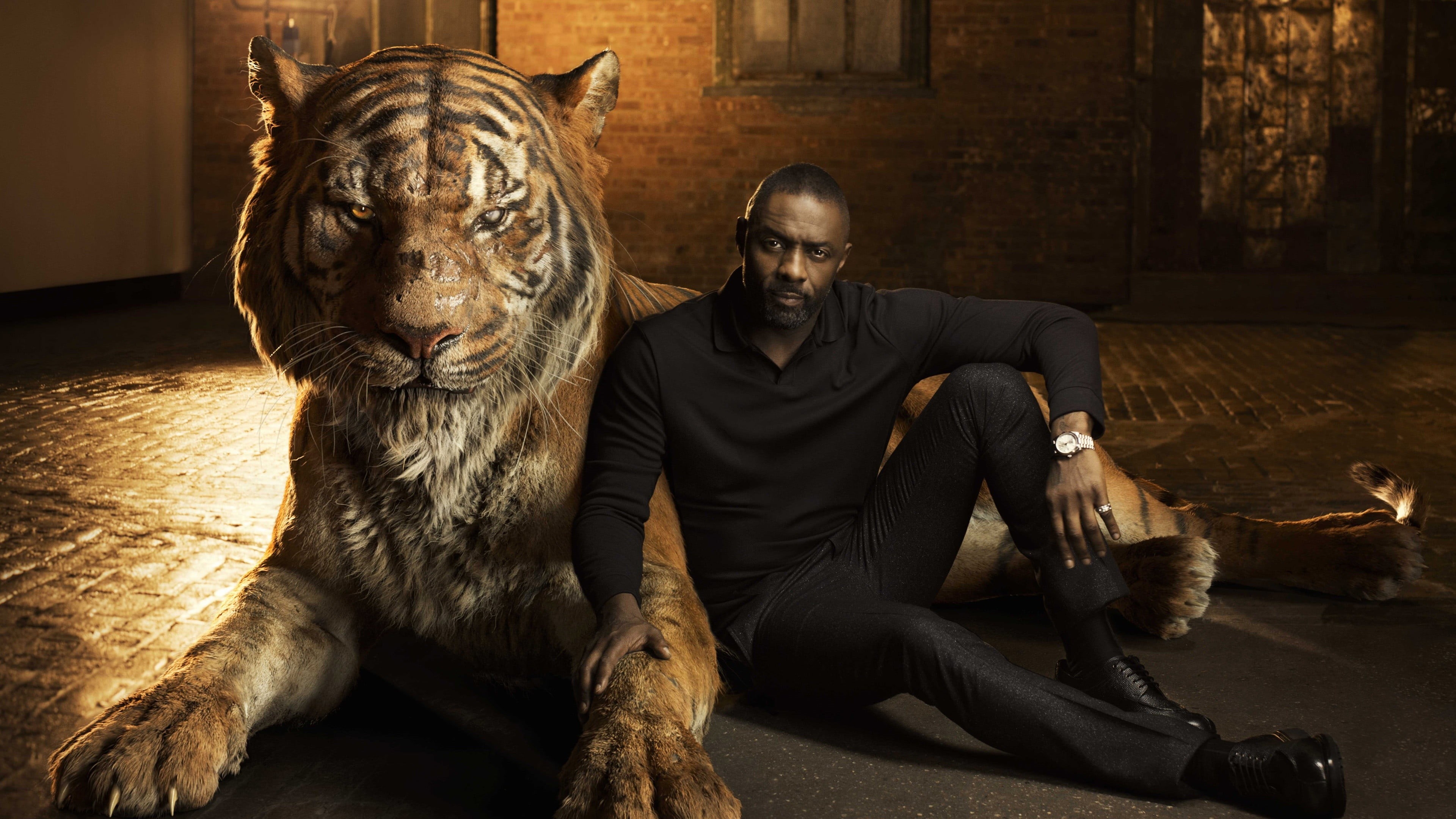 Shere Khan, one animal, indoors, young adult, sitting, tiger, full length, real people, The Jungle Book, 4K, domestic animals, adult, Idris Elba, portrait, HD Wallpaper