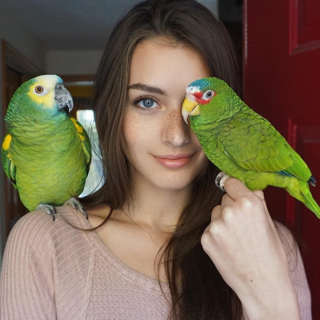 beautiful woman, brunette, tropical bird, women, model, looking at camera, shoulder, vertebrate, birds, blue eyes, pet owner, looking at viewer, one animal, Phone HD Wallpaper