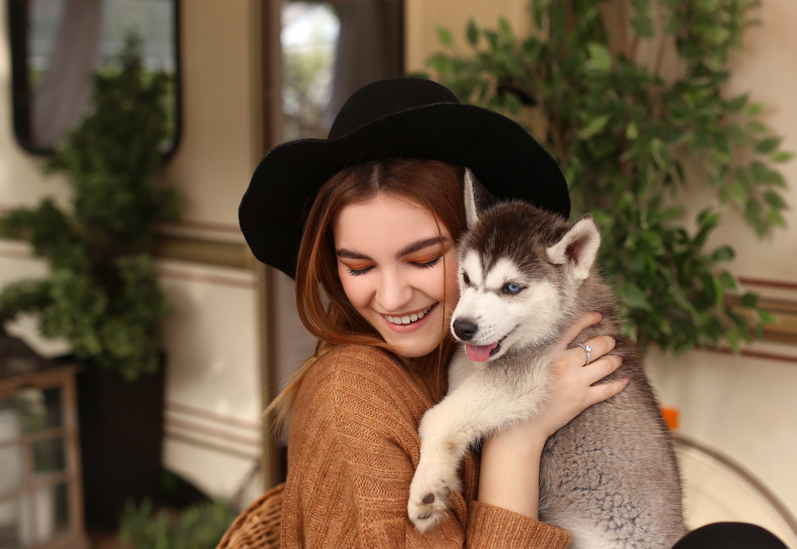 domestic, lifestyles, pet, women, model, young adult, Siberian Husky, brunette, depth of field, hat, domestic animals, real people, leisure activity, pet owner, HD Wallpaper