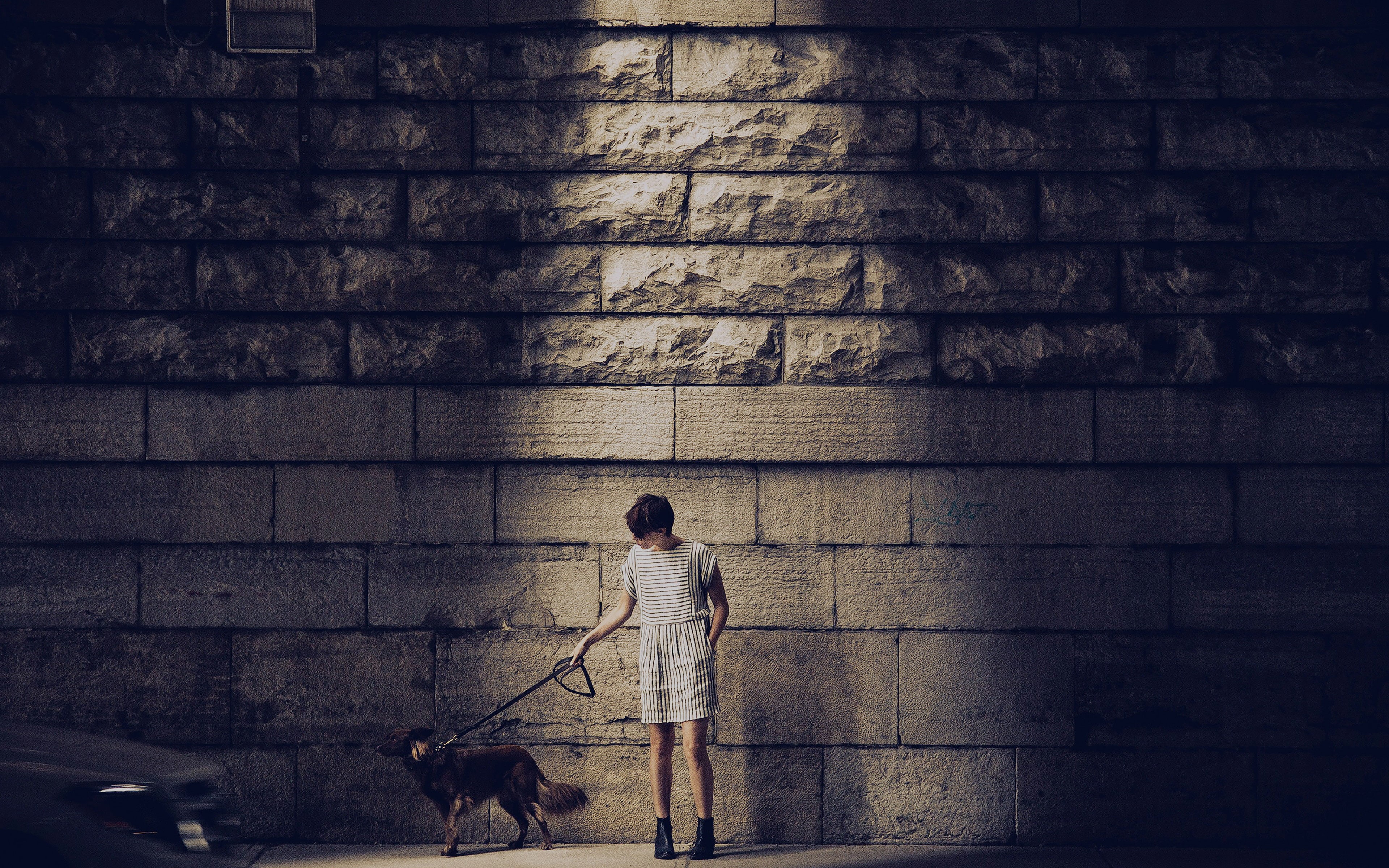 casual clothing, leash, real people, blue, dog, one animal, animal themes, street, 4K, wiebe, matthew, pet owner, full length, pets, built structure, canine, HD Wallpaper