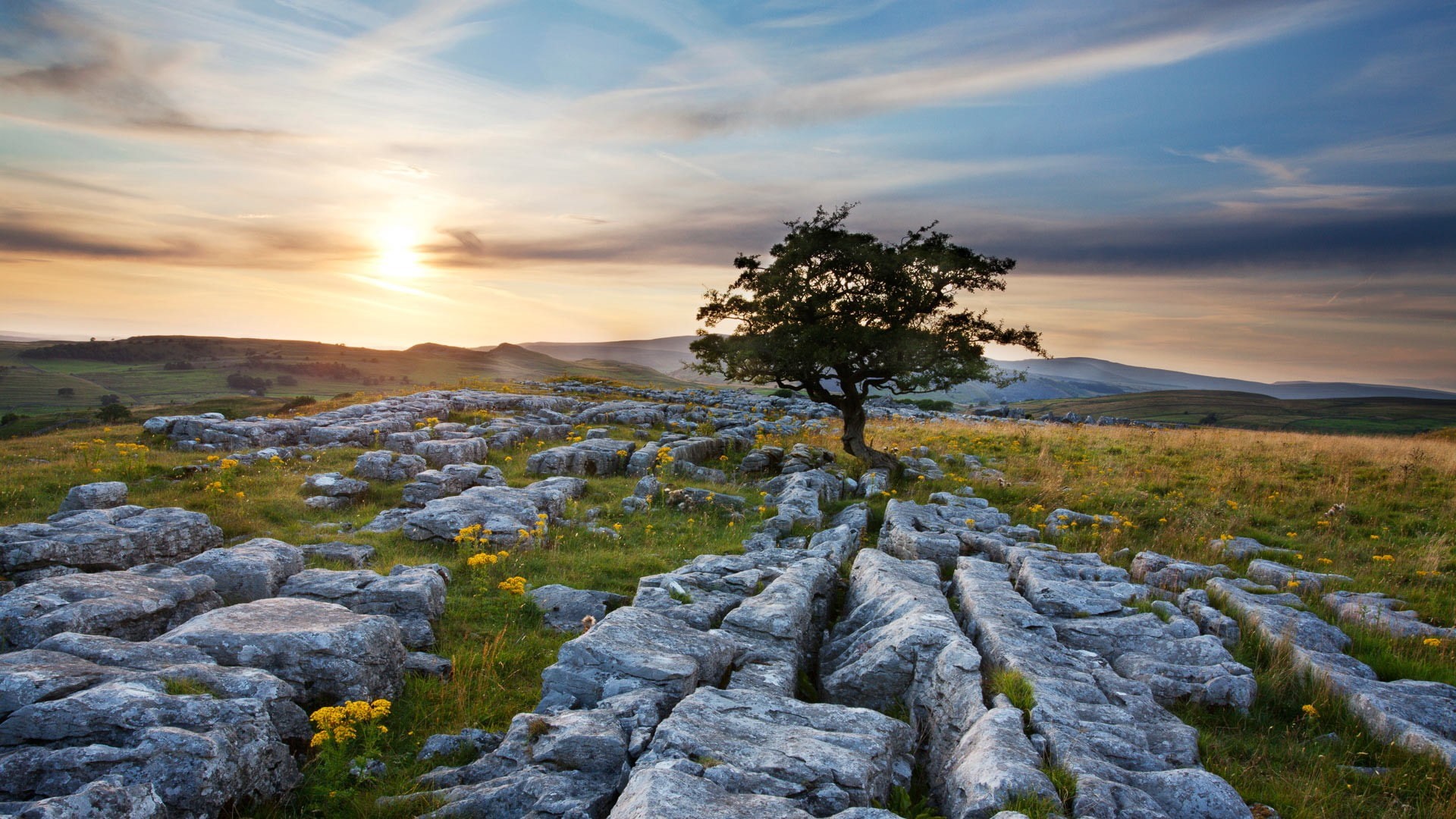 1080P, cellphone, photography, Microsoft Windows, HD Wallpaper