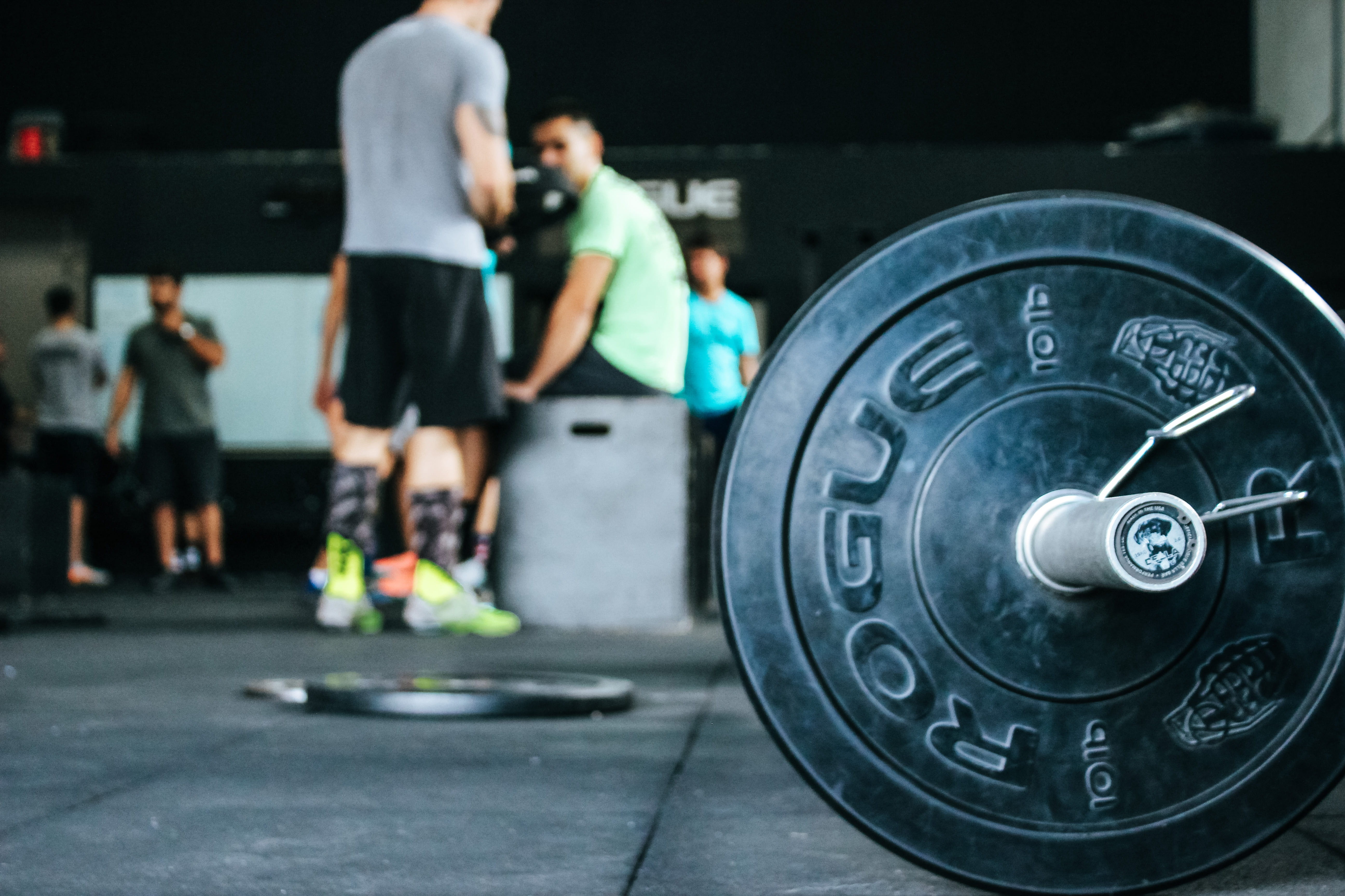 self improvement, strong, women, weight training, exercising, adult, 5K, weights, sports training, steel, people, lb, fitness, effort, gathered, full length, HD Wallpaper