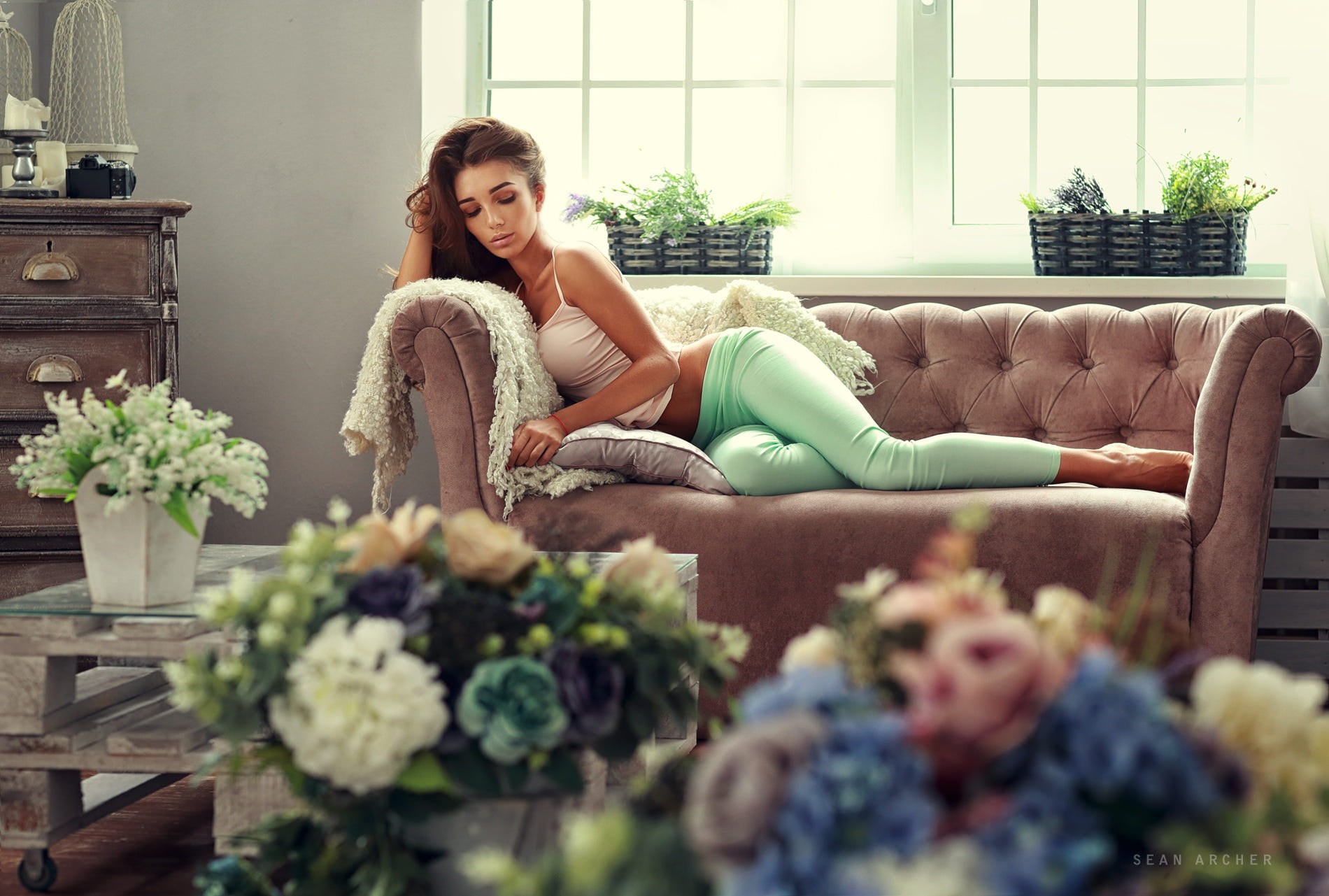 depth of field, Sean Archer, white tops, looking at camera, furniture, sitting, long hair, pink, sofa, living room, brunette, plant, yoga pants, top, relaxation, HD Wallpaper