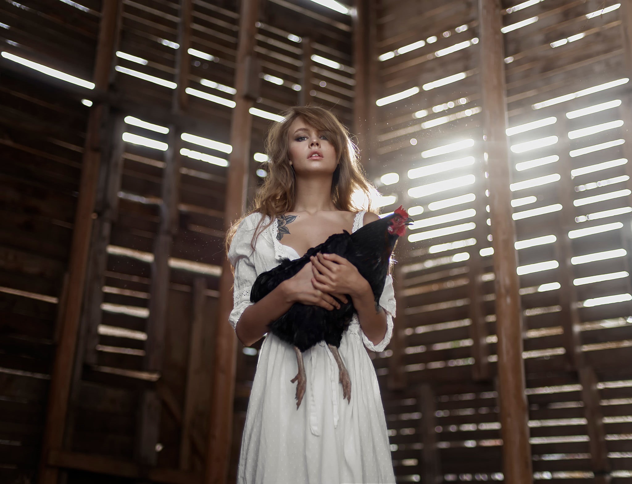 tattoo, fashion, sleeved, neck, portrait, women, front view, dress, long hair, Tatiana Mercalova, holding, one person, beautiful woman, lifestyles, animals, HD Wallpaper