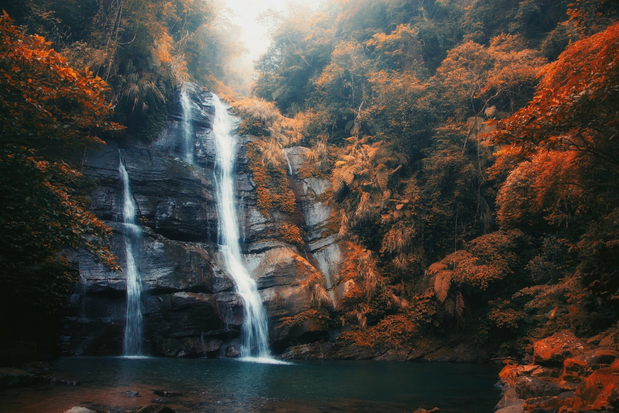 autumn, idyllic, 1080P, backgrounds, long exposure, wet, tranquil Scene, landscape, no People, rock formation, green Color, photo, plant, orange, woodland, HD Wallpaper