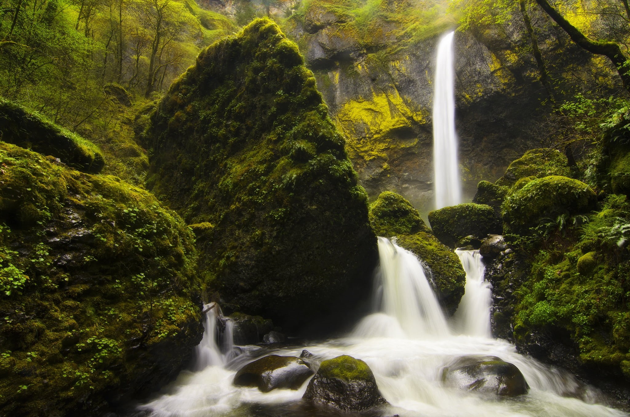 nature, rock - Object, idyllic, no People, plunge, summer, tranquil Scene, mountain, river, forest, land, stone - Object, flowing, 1080P, landscape, beauty In Nature, HD Wallpaper