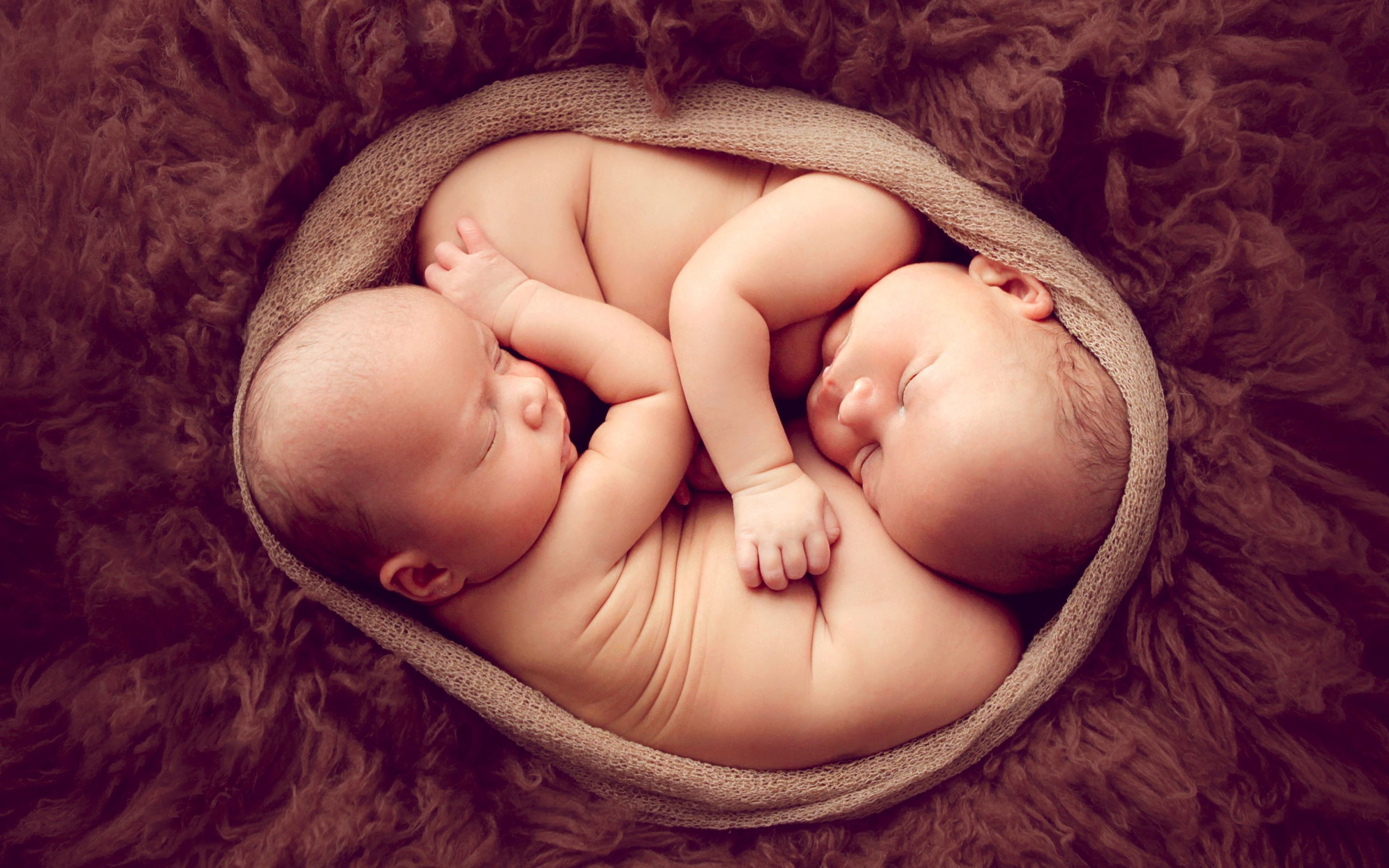Twins, 2K, Newborn babies, HD Wallpaper