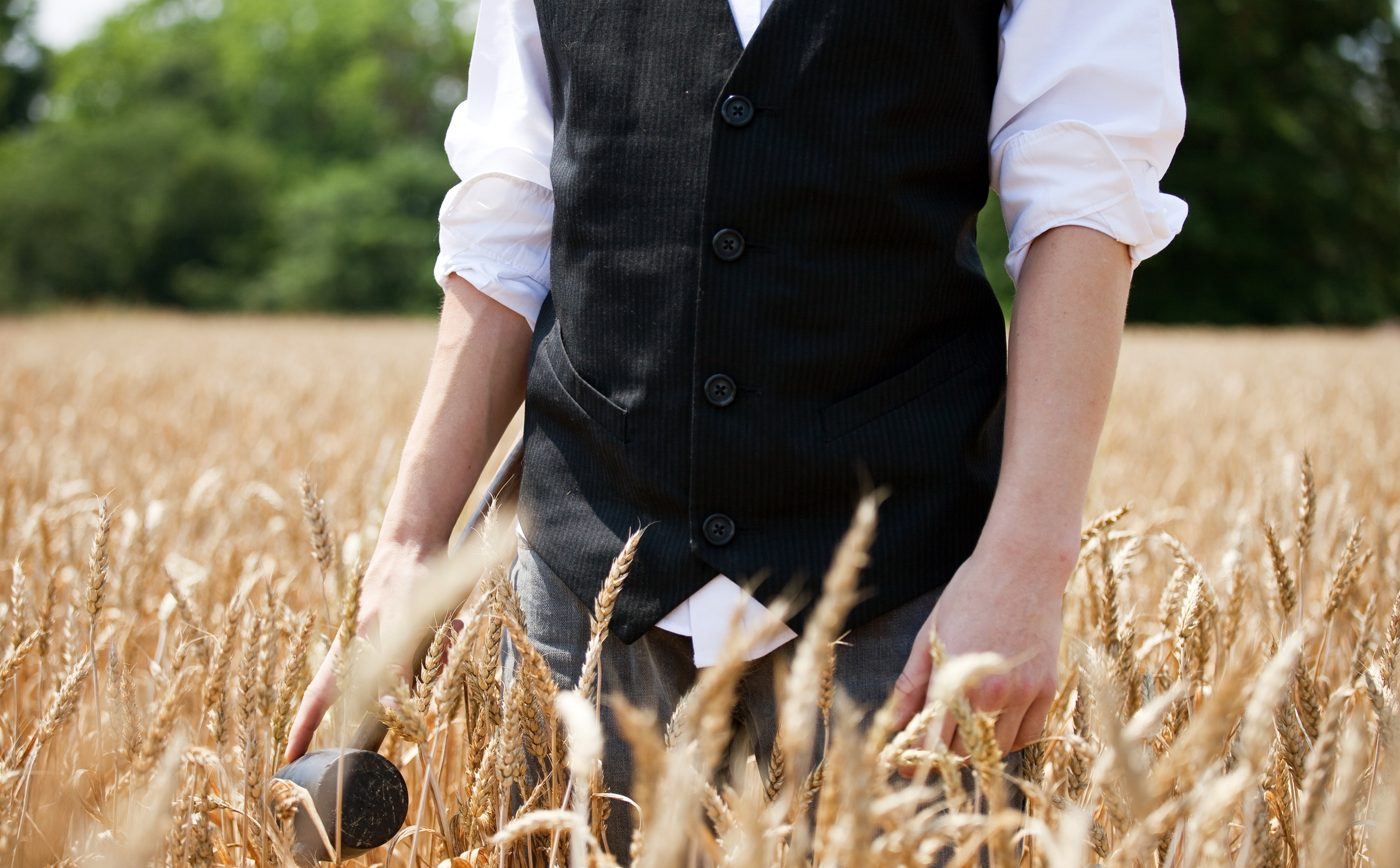food, Green, farm, Characters, black, Gray, Daniel Warren, Wheat, jeans, s, occupation, land, come, plant, time, growth, outdoors, agriculture, farmer, HD Wallpaper