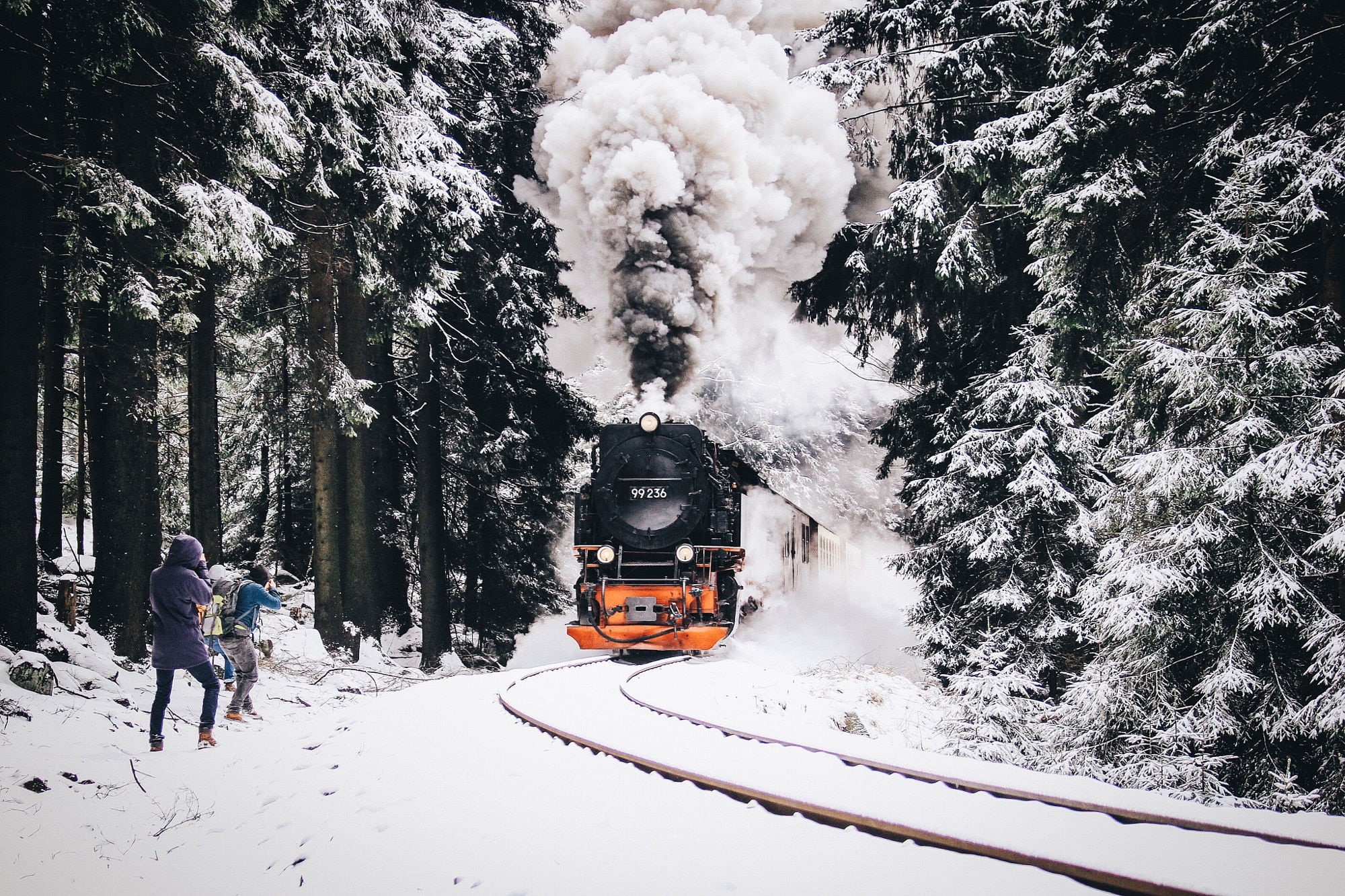 cold temperature, tree, black, land, day, pollution, steam train, rail transportation, winter, nature, 1080P, train - vehicle, real people, vehicle, white color, HD Wallpaper