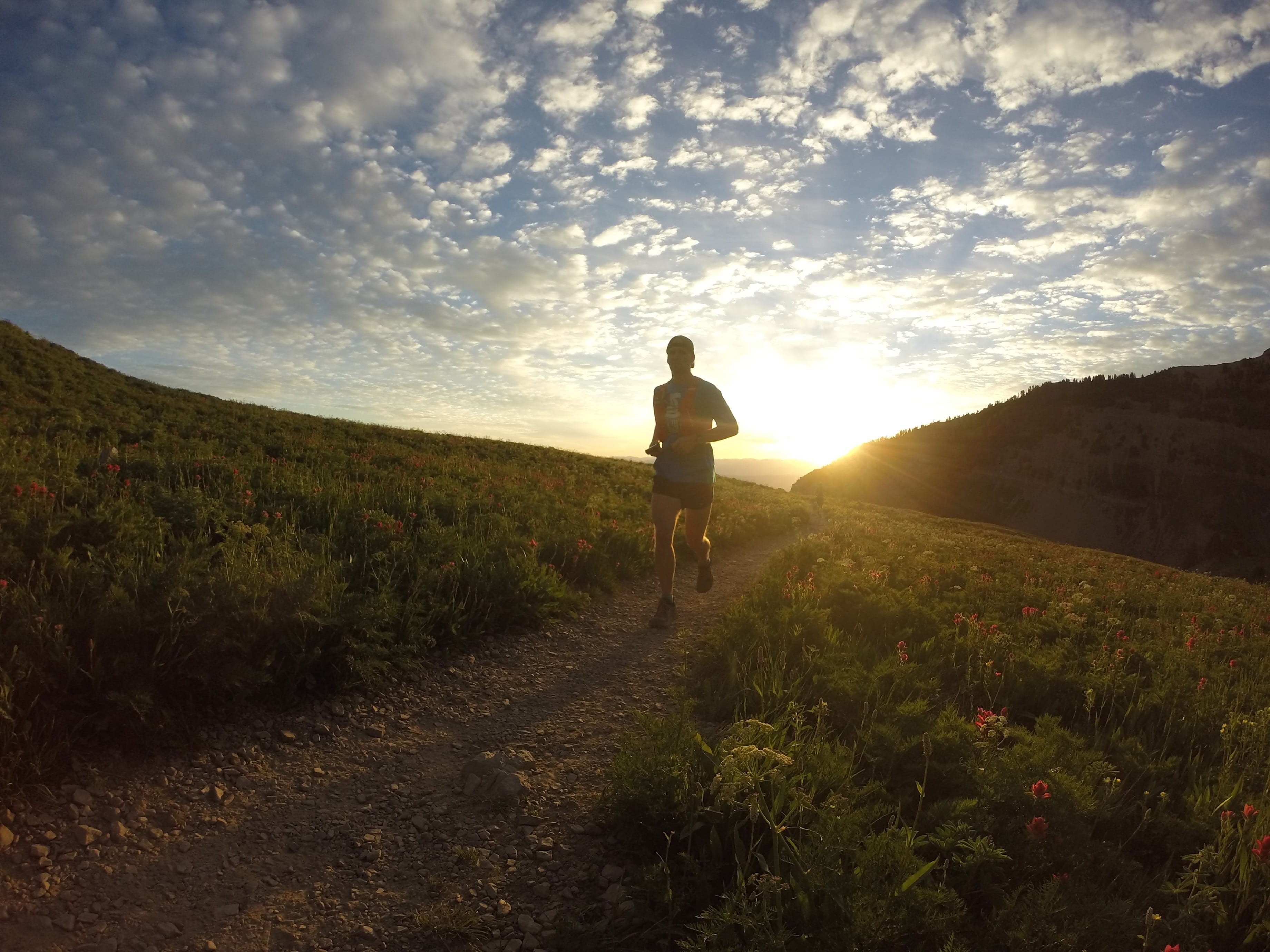 grass, mid adult, sport, cloud - sky, sky, landscape, scenics - nature, Morning, lens flare, beauty in nature, full length, athlete, only men, Runner, Sunrise, HD Wallpaper