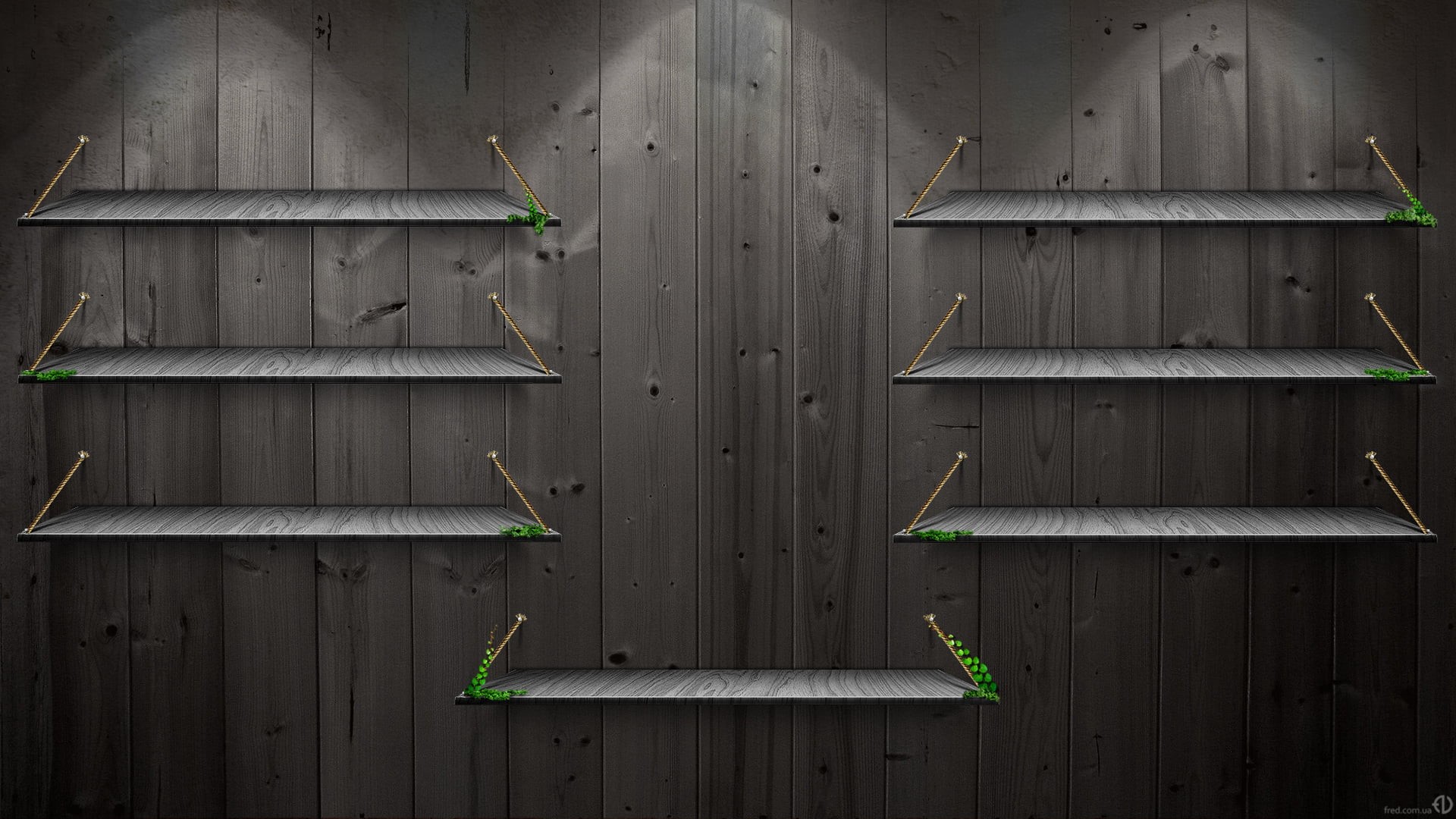 wall - Building Feature, tree, plank, wood, no People, day, seven, backgrounds, entrance, full frame, built Structure, abstract, architecture, green Color, HD Wallpaper