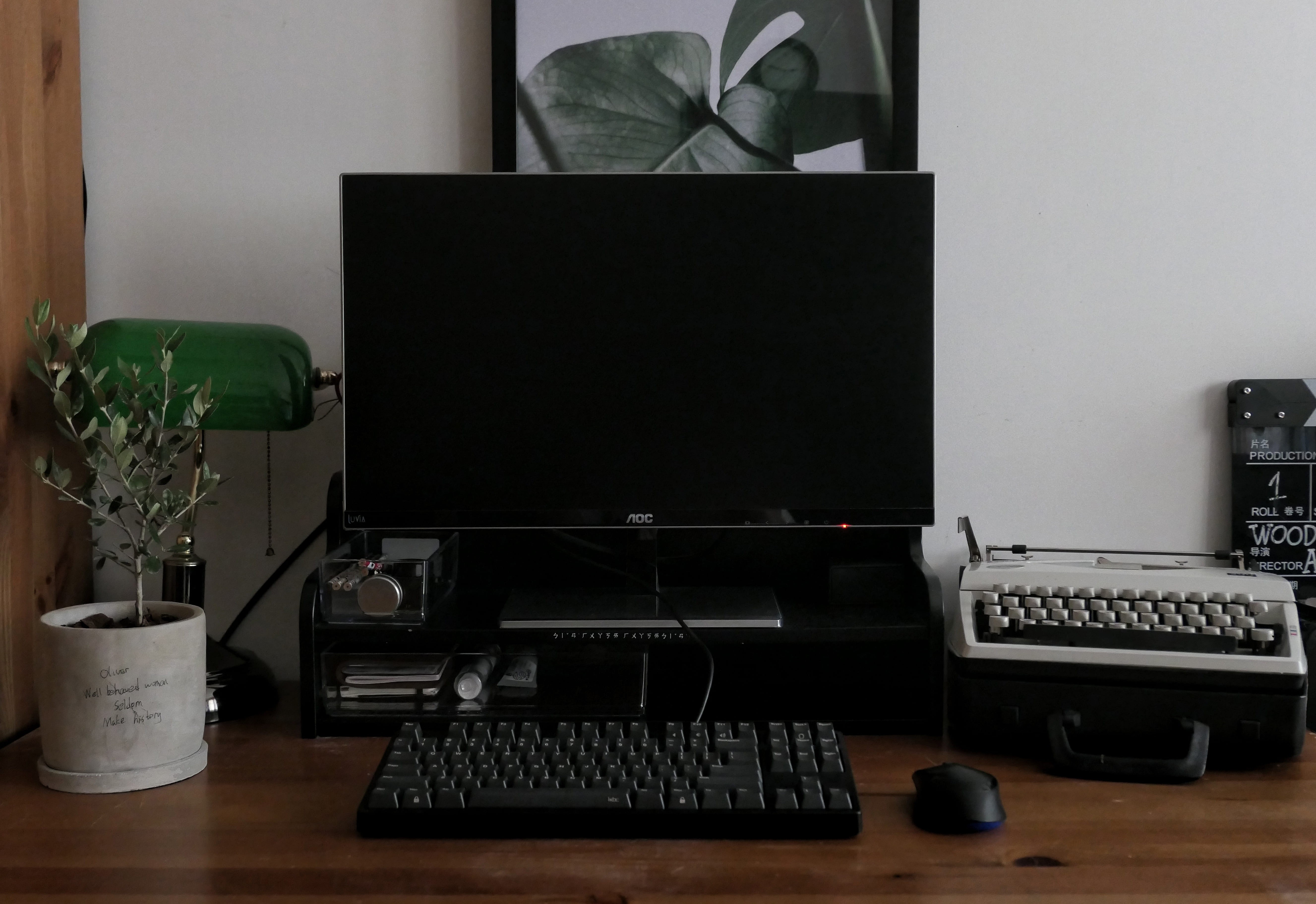 computer, desk, mouse, communication, office, indoors, technology, potted plant, desktop pc, personal computer, houseplant, computer monitor, keyboard, HD Wallpaper