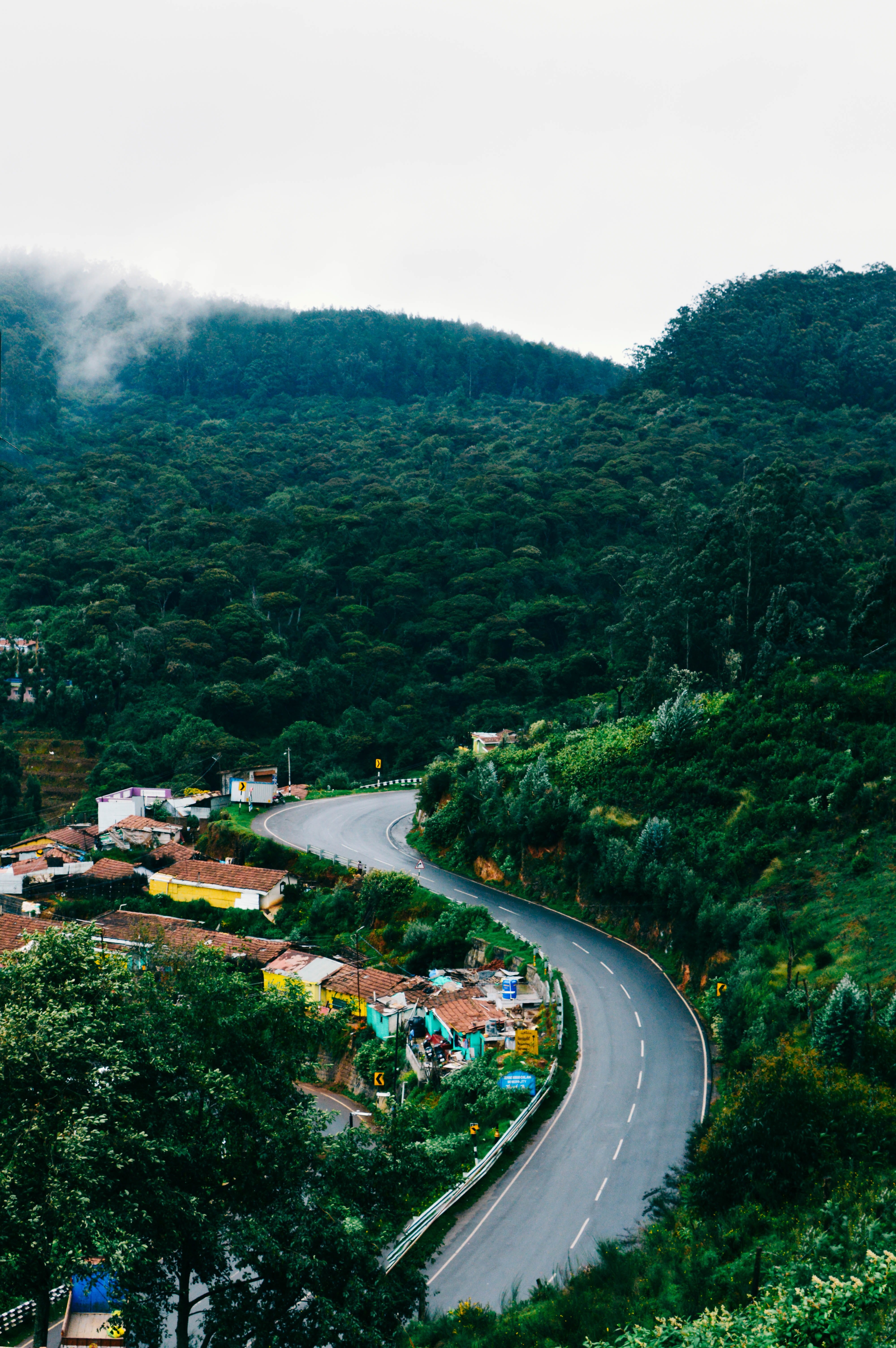 transportation, scenics - nature, tree, growth, ooty, beauty in nature, 5K, road, outdoors, mountain, forest, landscape, green color, tranquility, high angle view, Phone HD Wallpaper