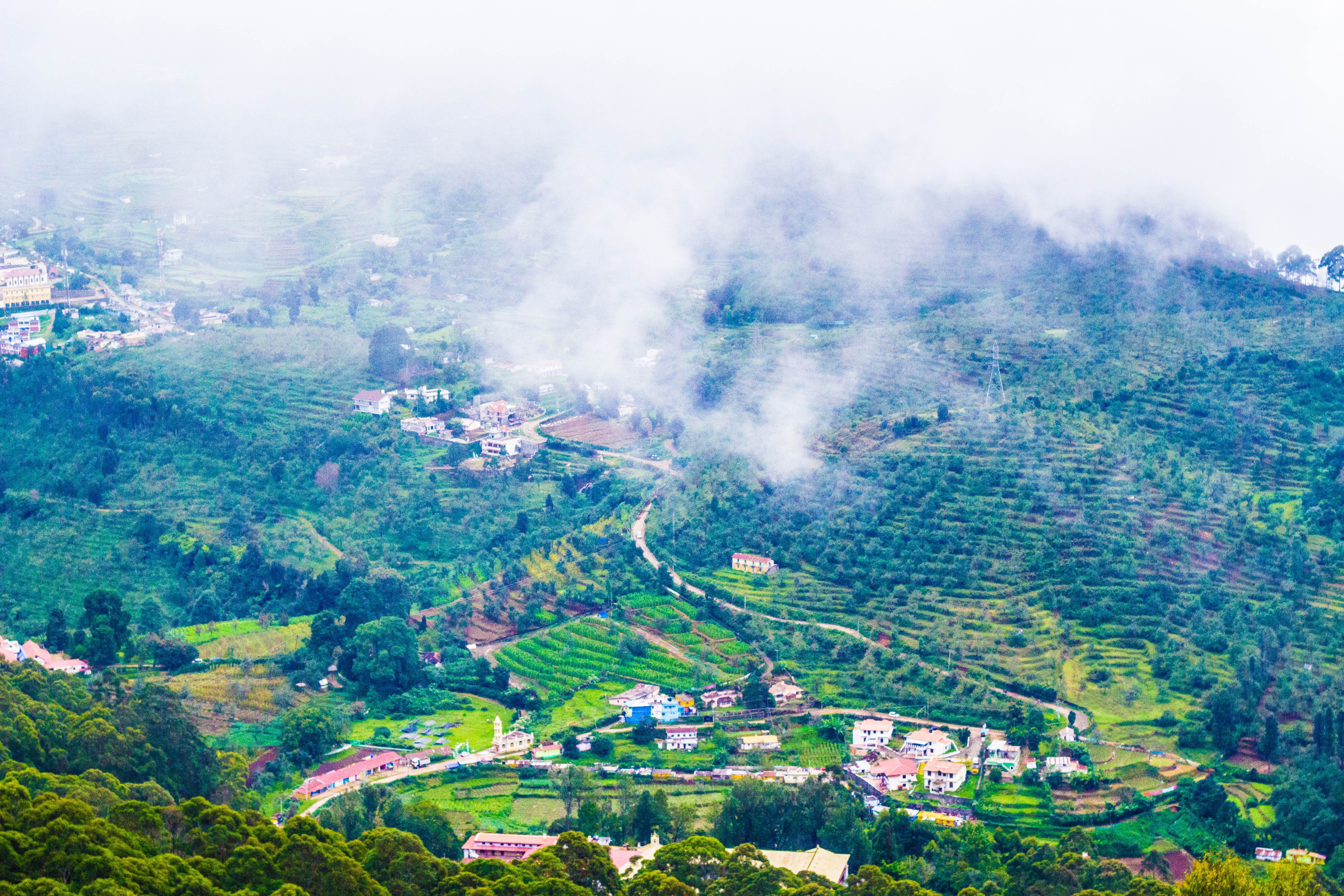 tranquil scene, environment, beauty in nature, fog, non-urban scene, day, landscape, ooty, outdoors, trees, india, mountain, hills station, 5K, idyllic, HD Wallpaper