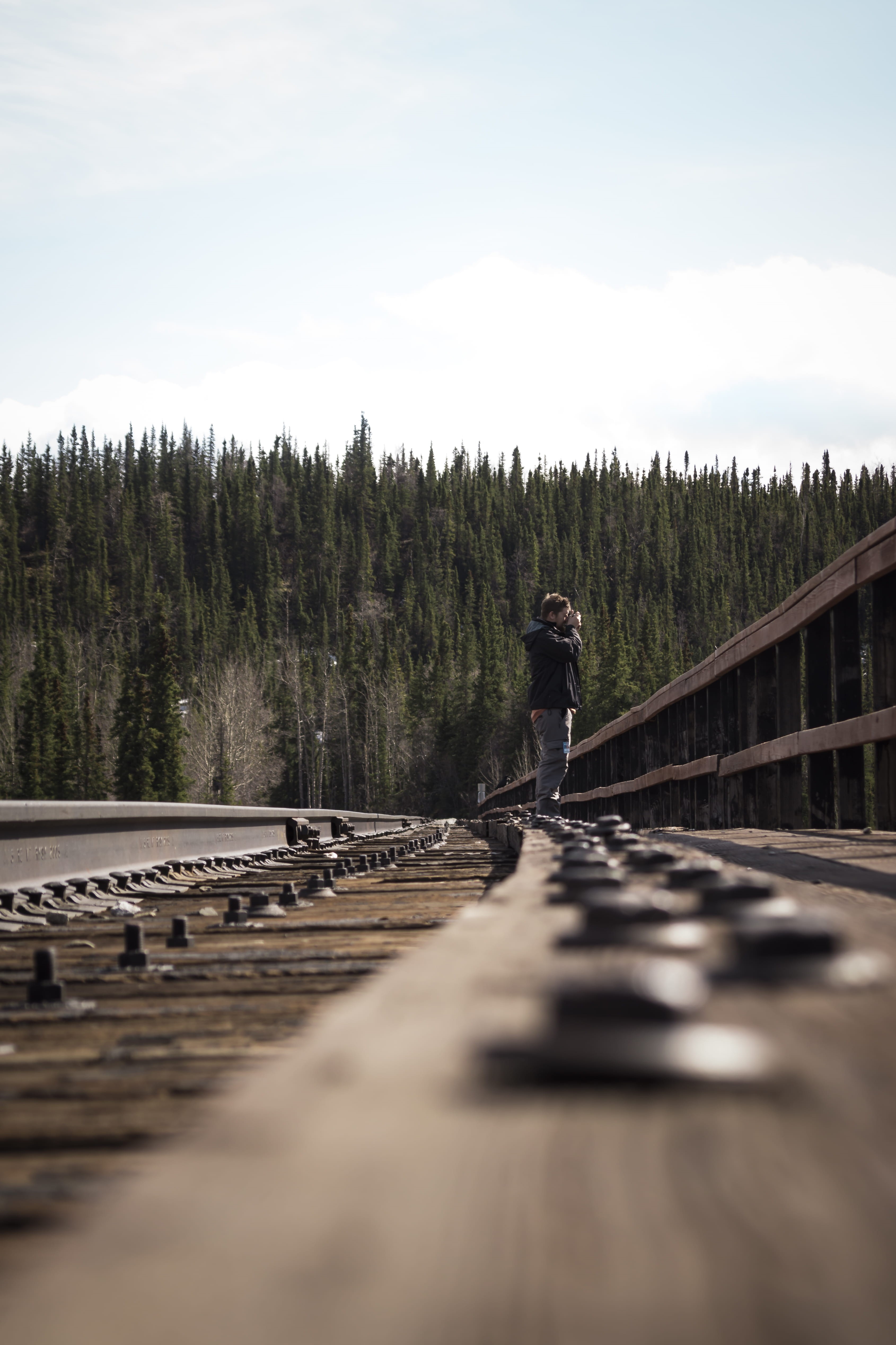 solitude, forest, railroad, wood - material, nature, leisure activity, trees, beauty in nature, selective focus, taking, real people, plant, man, alone, Phone HD Wallpaper