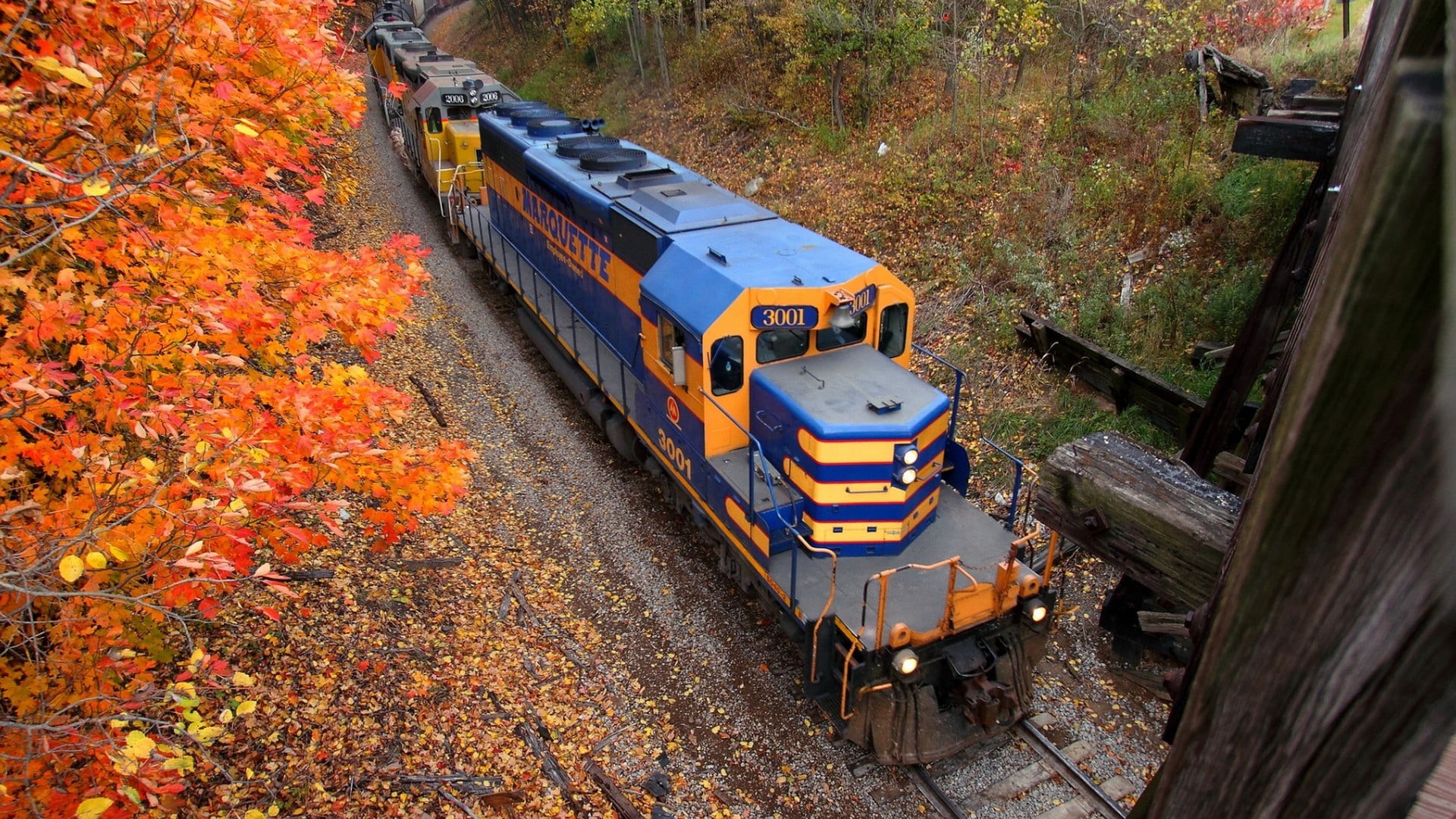 yellow, valley, rail transportation, forest, plant, blue, transit, railroad track, train - vehicle, 1080P, USA, diesel locomotive, view, track, landscape, HD Wallpaper
