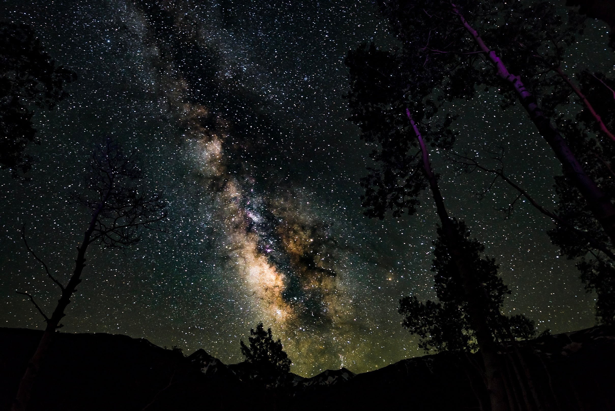 no people, glowing, infinity, starry sky, planet - Space, science, fire - Natural Phenomenon, space and astronomy, star Field, landscape, forest, HD Wallpaper