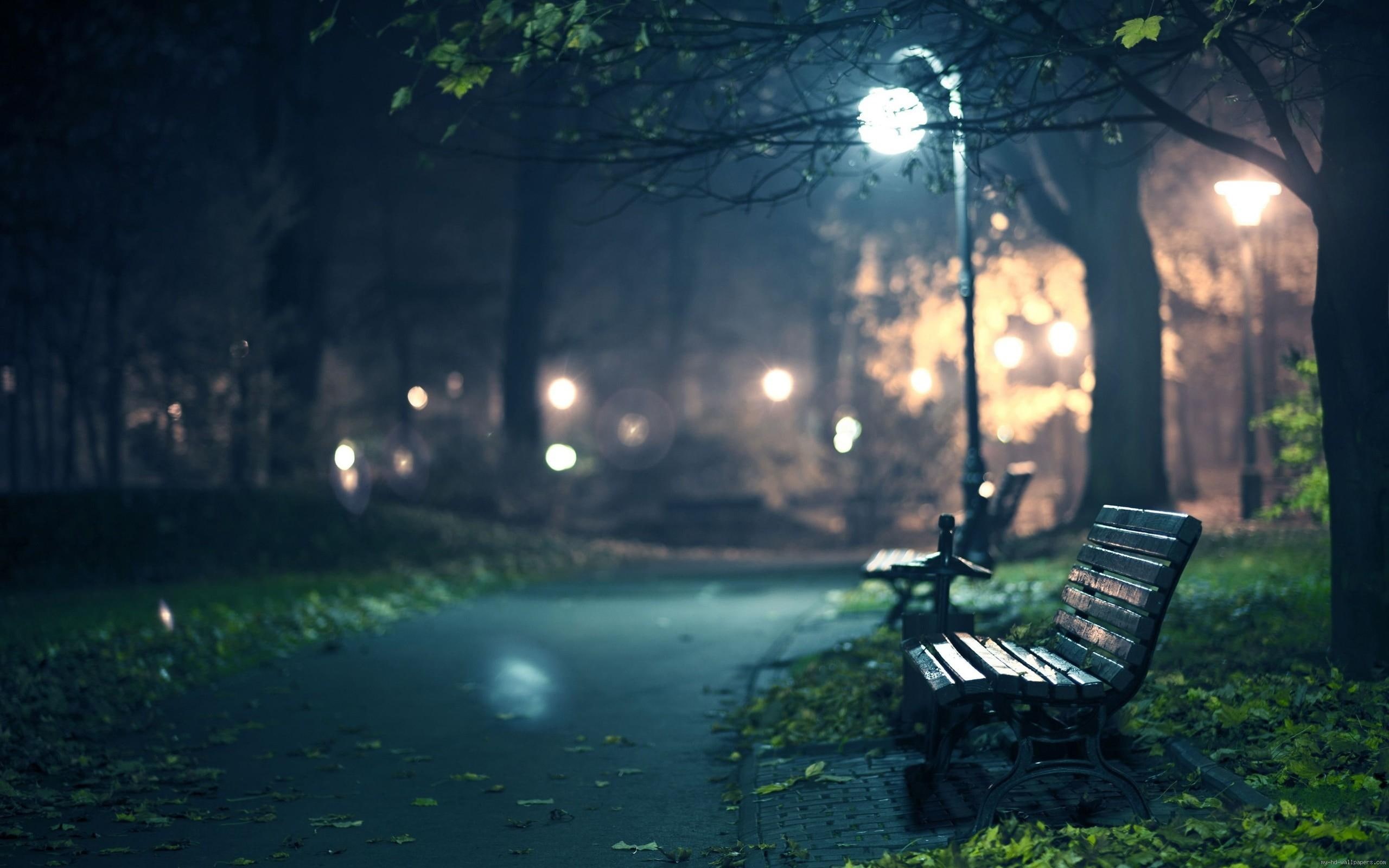 2K, night, bench, brown, diverse, park, wooden, HD Wallpaper