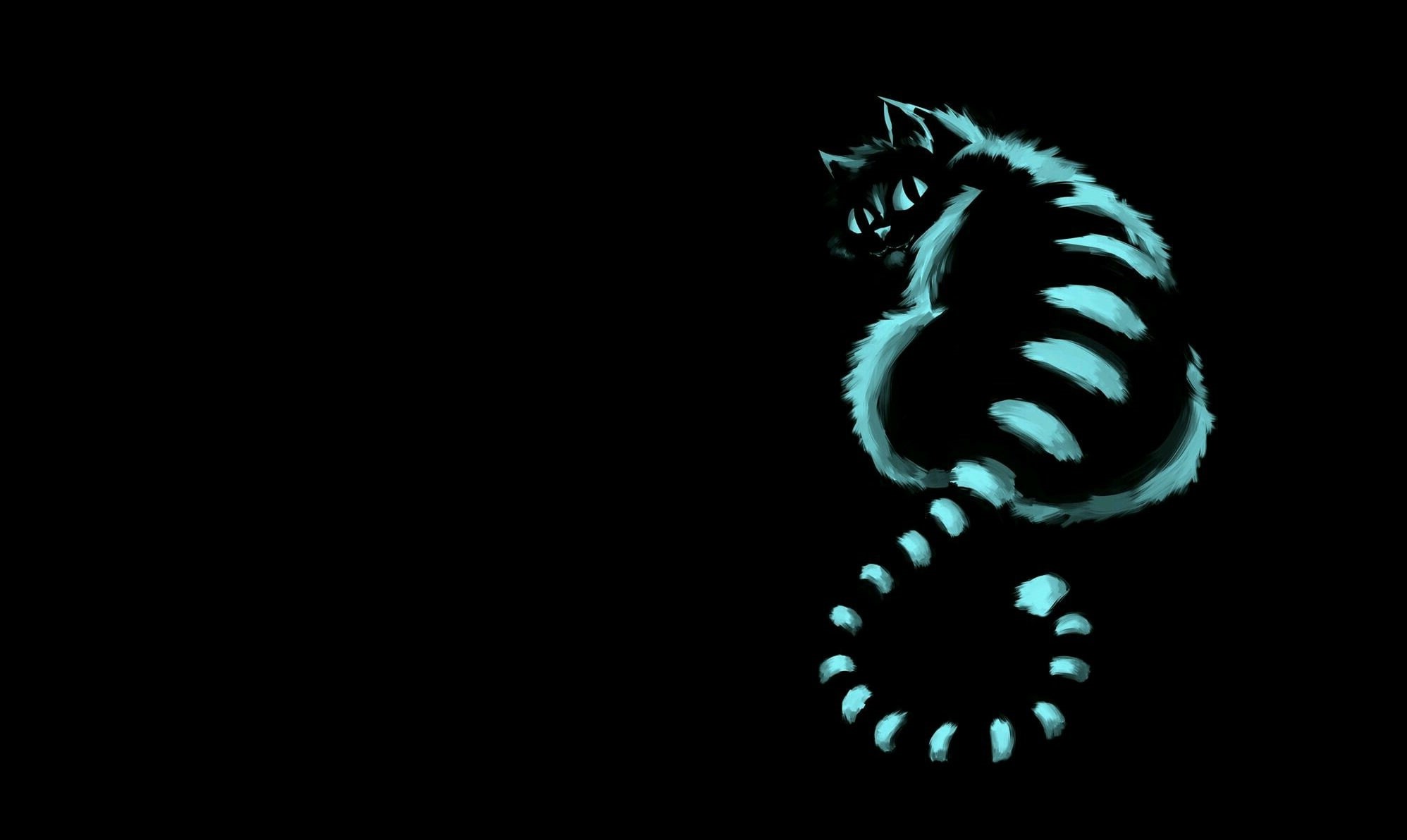 Cheshire cat, nature, illustration, animal themes, one animal, close-up, whisker, cat, animal, pets, no People, cheshire, spiral, indoors, domestic, blue, HD Wallpaper