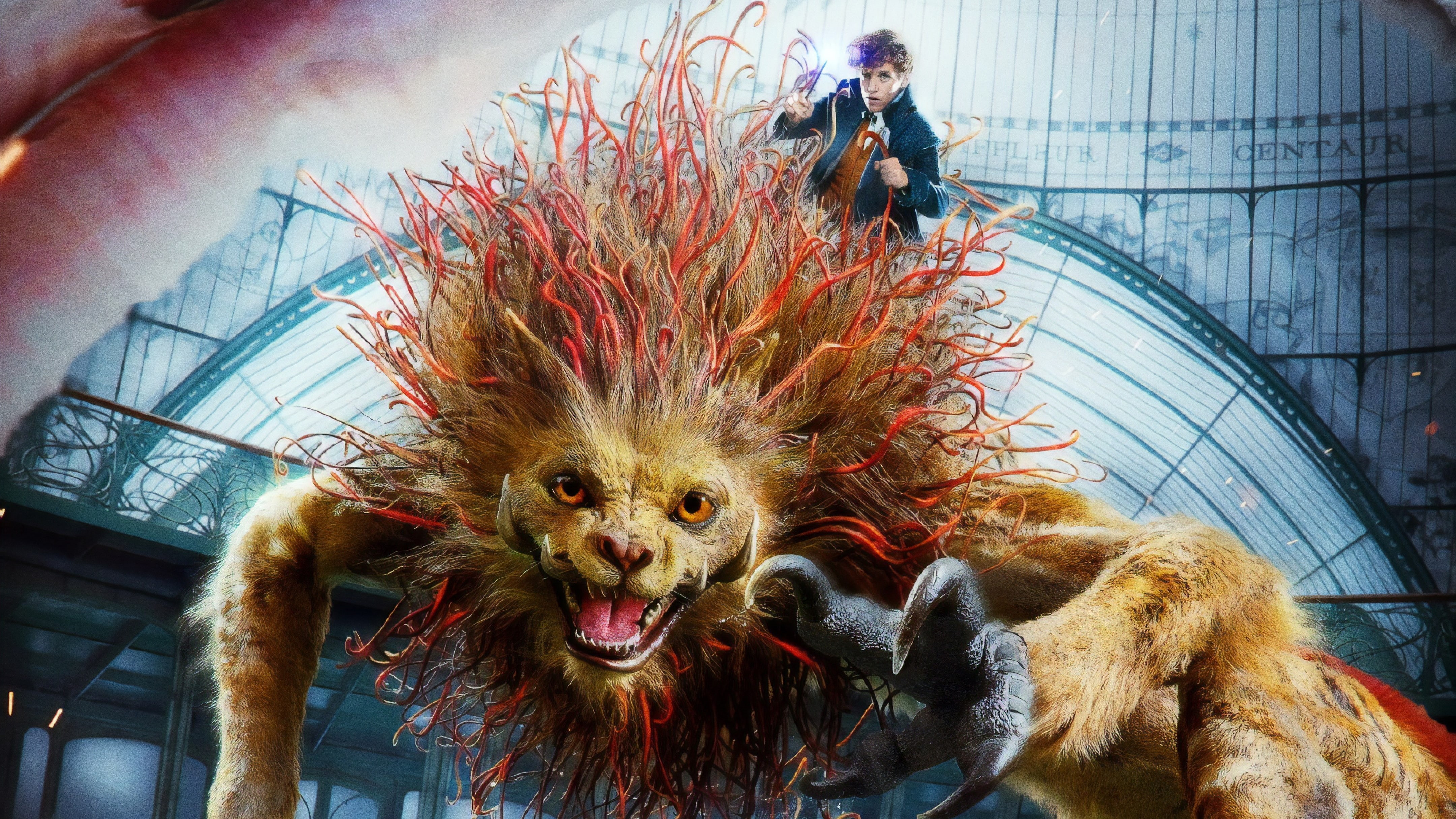 Beasts, k, Crimes, 4K, The, Fantastic, Grindelwald, HD Wallpaper