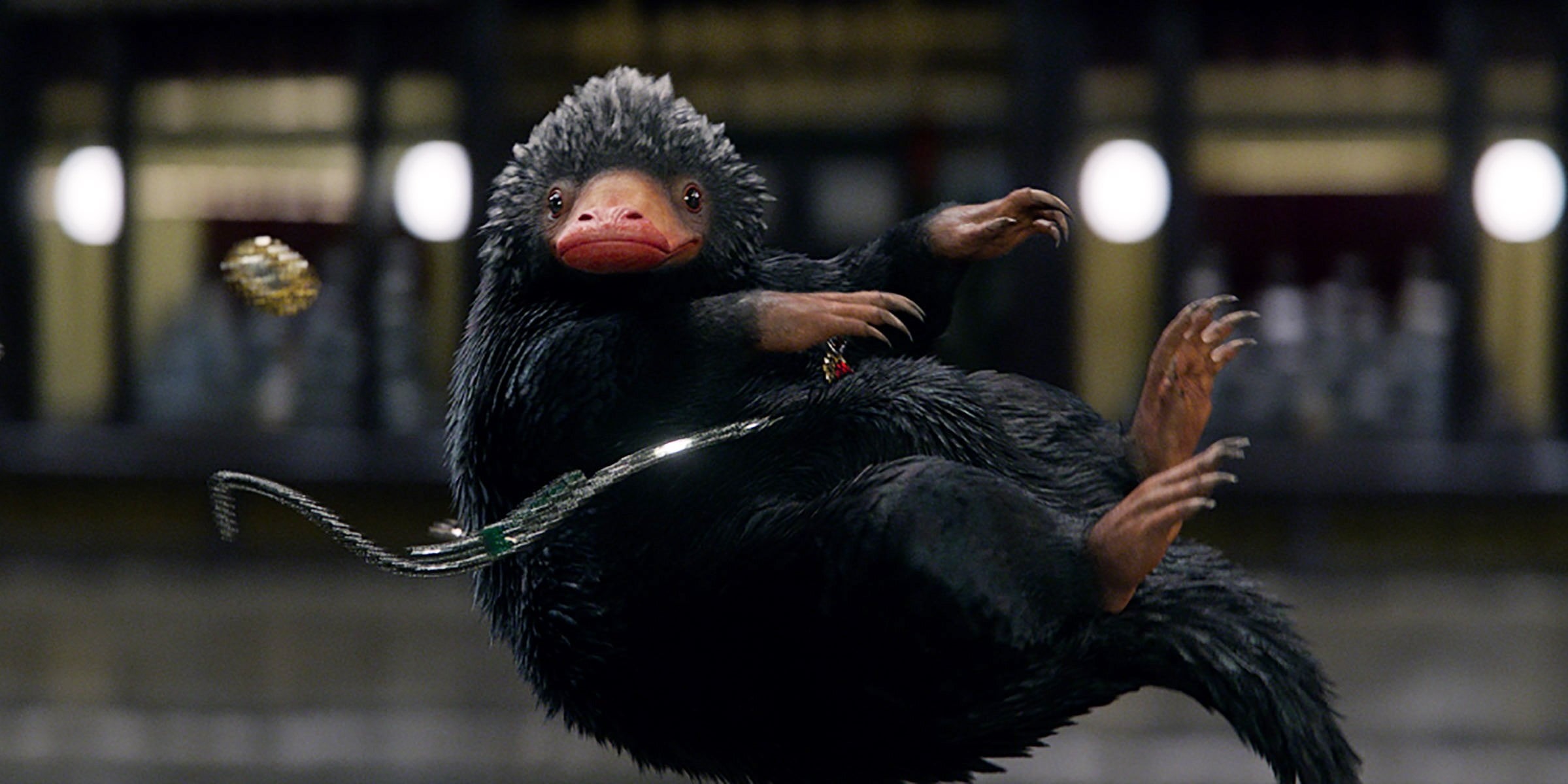 movie, fantasy, performance, animal wildlife, fantastic beasts and where to find them, people, mammal, portrait, thief, 1080P, jewel, black color, vertebrate, HD Wallpaper