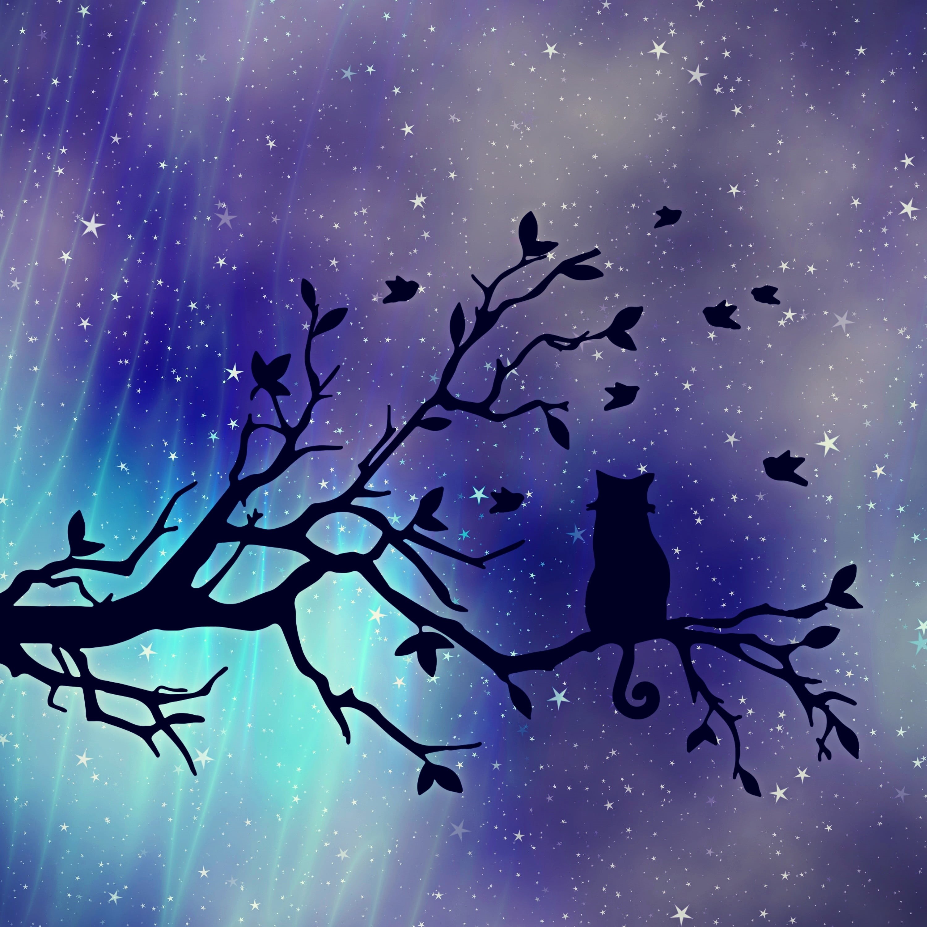 background, 2K, atmosphere, beauty in nature, silhouette, turquoise, night sky, night, environment, close-up, branch, aesthetic, tranquil scene, tree, Phone HD Wallpaper