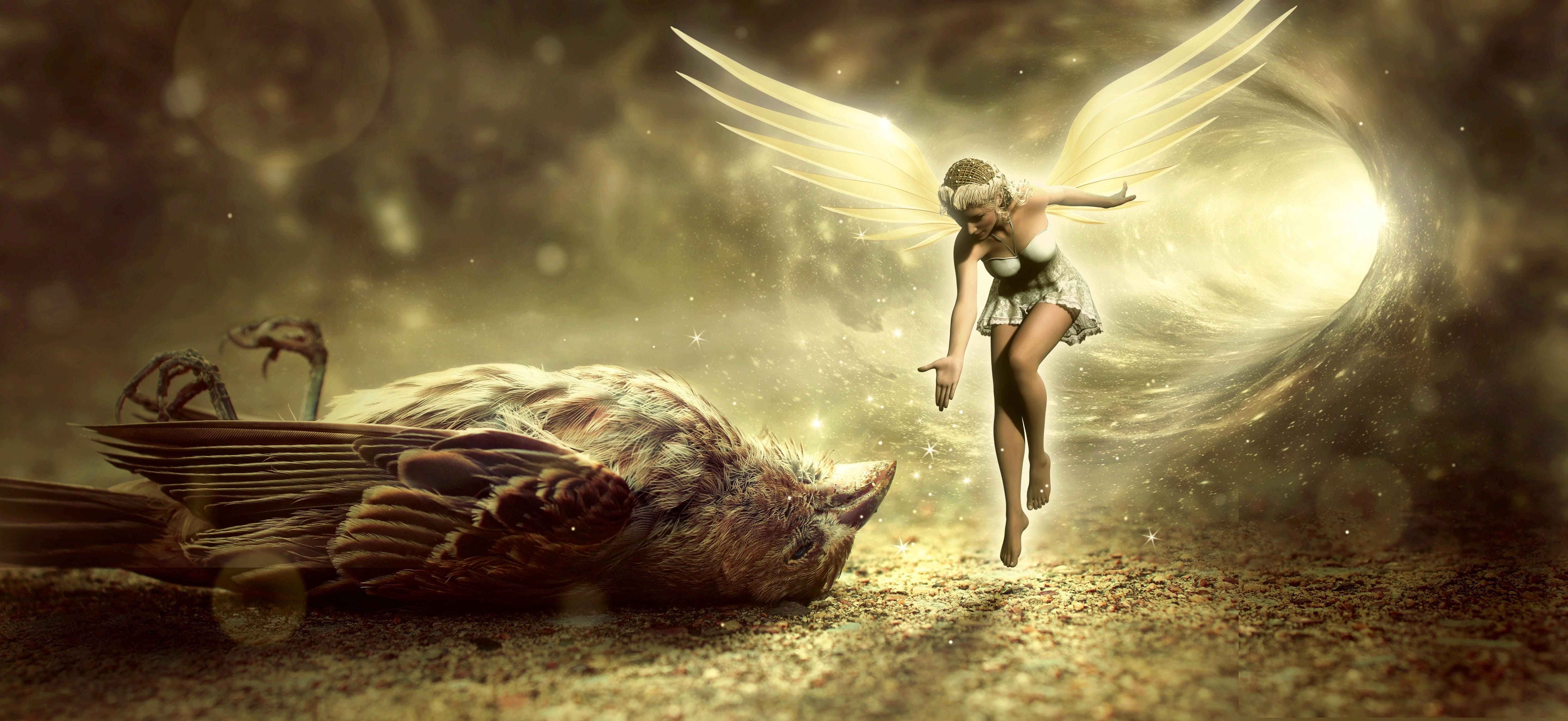 nature, animal wing, photomontage, magic, elf, water, adult, live, girl, magical, 5K, sparrow, women, container, sky, outdoors, lighting, beauty, beautiful people, HD Wallpaper