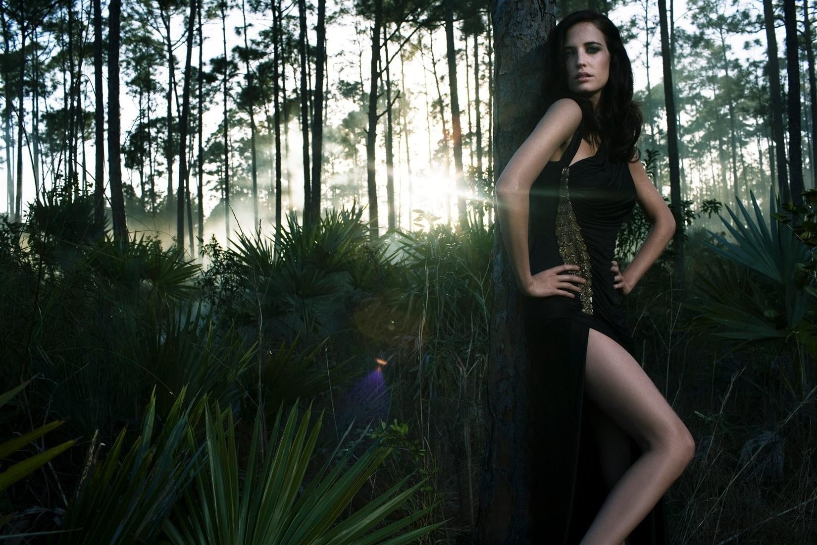 growth, French, forest, looking at camera, contemplation, lifestyles, brunette, plant, Eva Green, dress, hair, hairstyle, fashion, women outdoors, land, HD Wallpaper