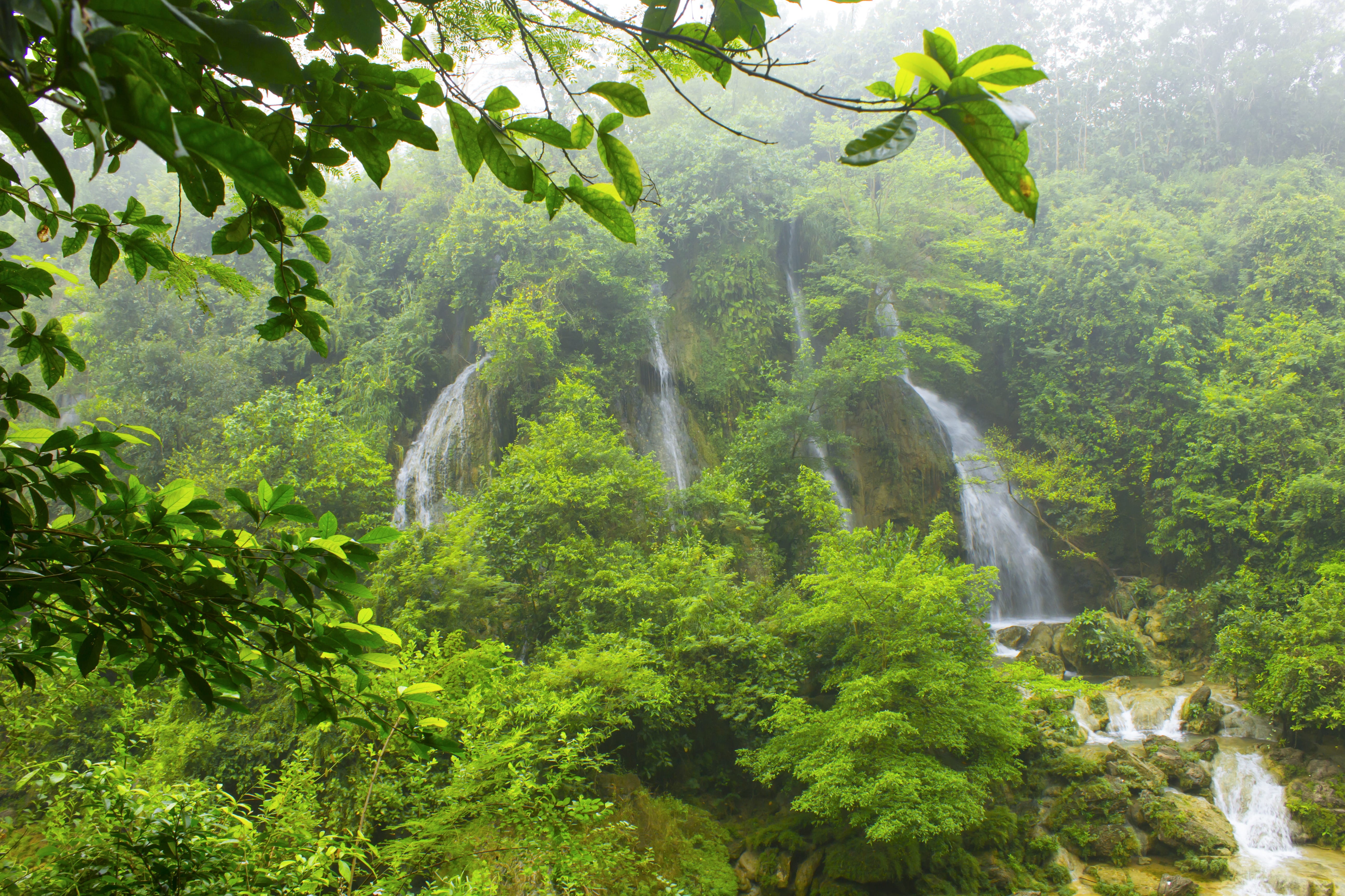 green, day, lush foliage, yogyakarta, scenics - nature, indonesia, motion, tree, plant, jogja, environment, flowing, power in nature, forest, waterfall, HD Wallpaper