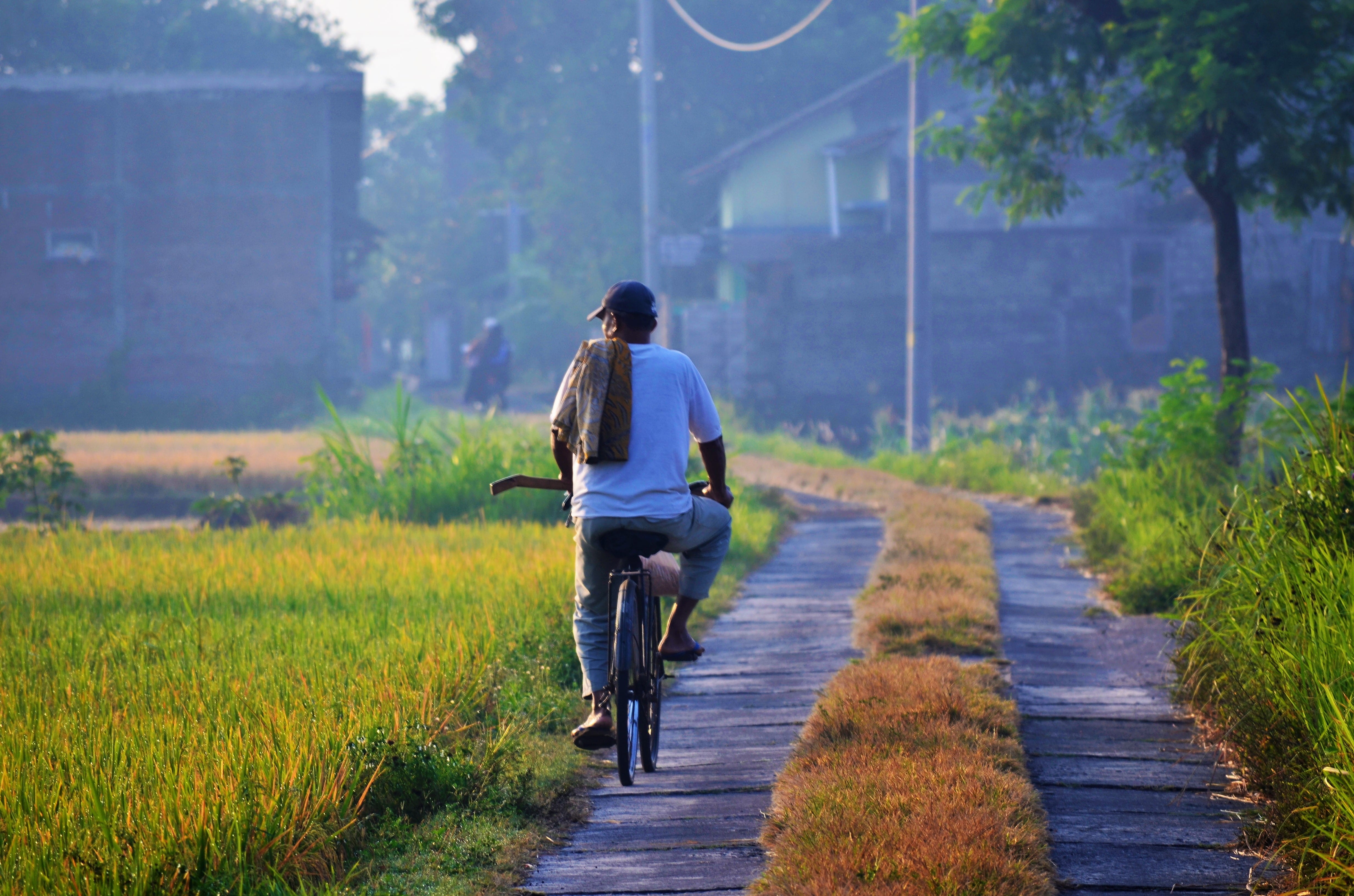 nikon, ontel, people, real people, jogja, nikkor, transportation, growth, direction, nature, full length, bike, ride, white, lifestyles, grass, plant, onthel, HD Wallpaper