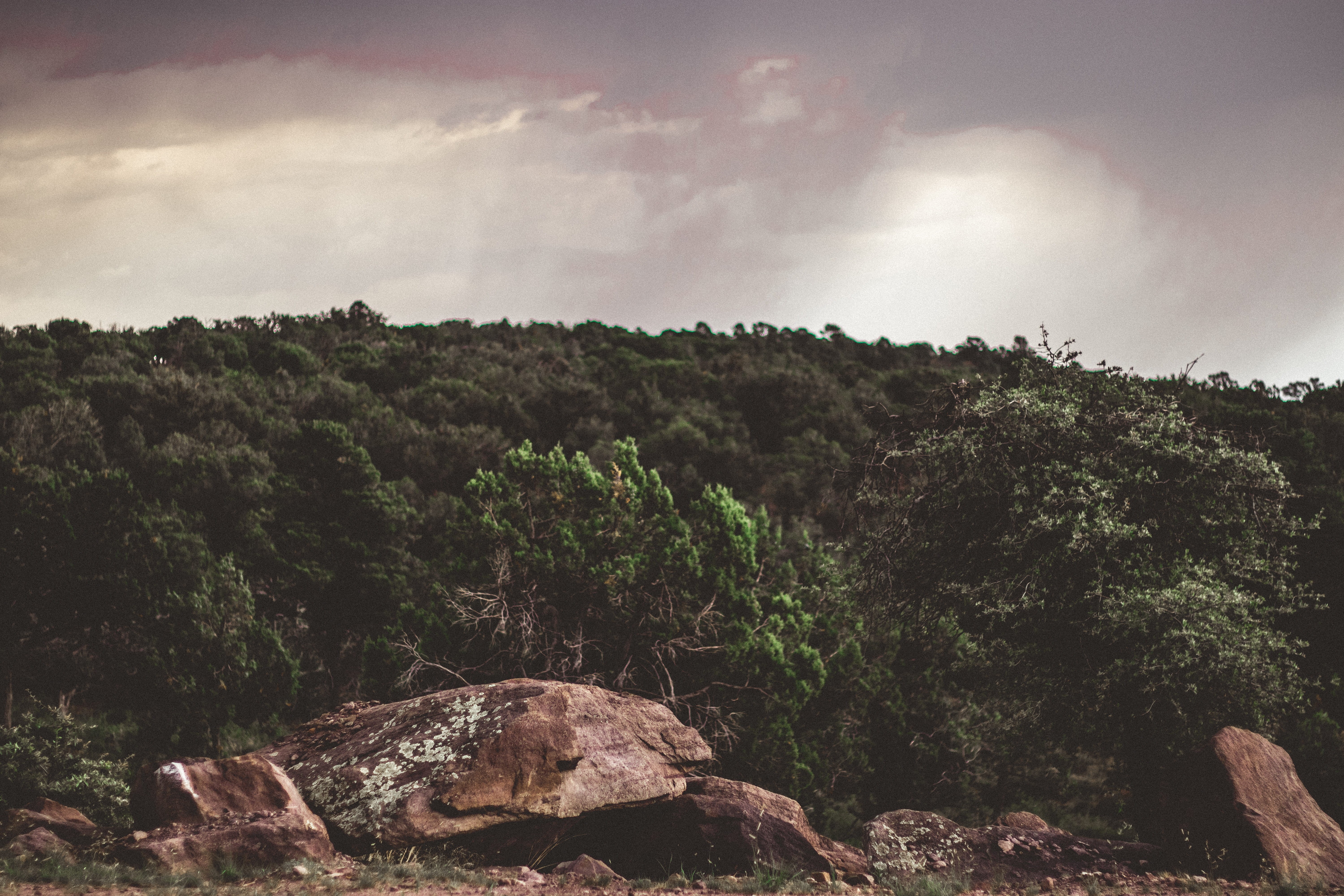 photography, scenics - nature, rock - object, rock, nature, tree, tranquil scene, rainstorm, 5K, sky, landscapephotography, day, trees, united states, HD Wallpaper