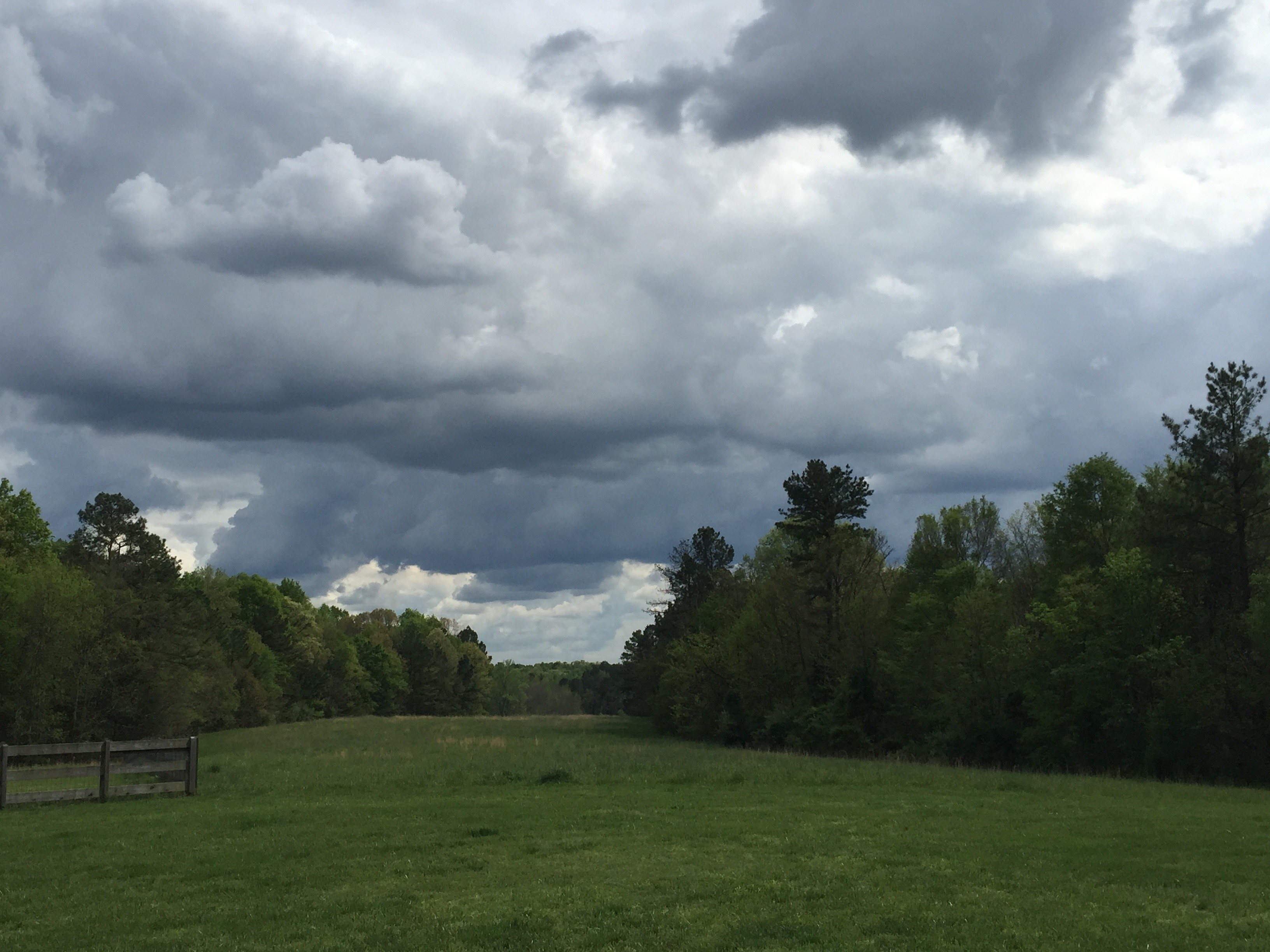weather, no people, thunderclap, tree, wow, landscape, environment, cloud - sky, grass, beauty in nature, nature, ominous, sky, day, plant, storm, tranquility, HD Wallpaper