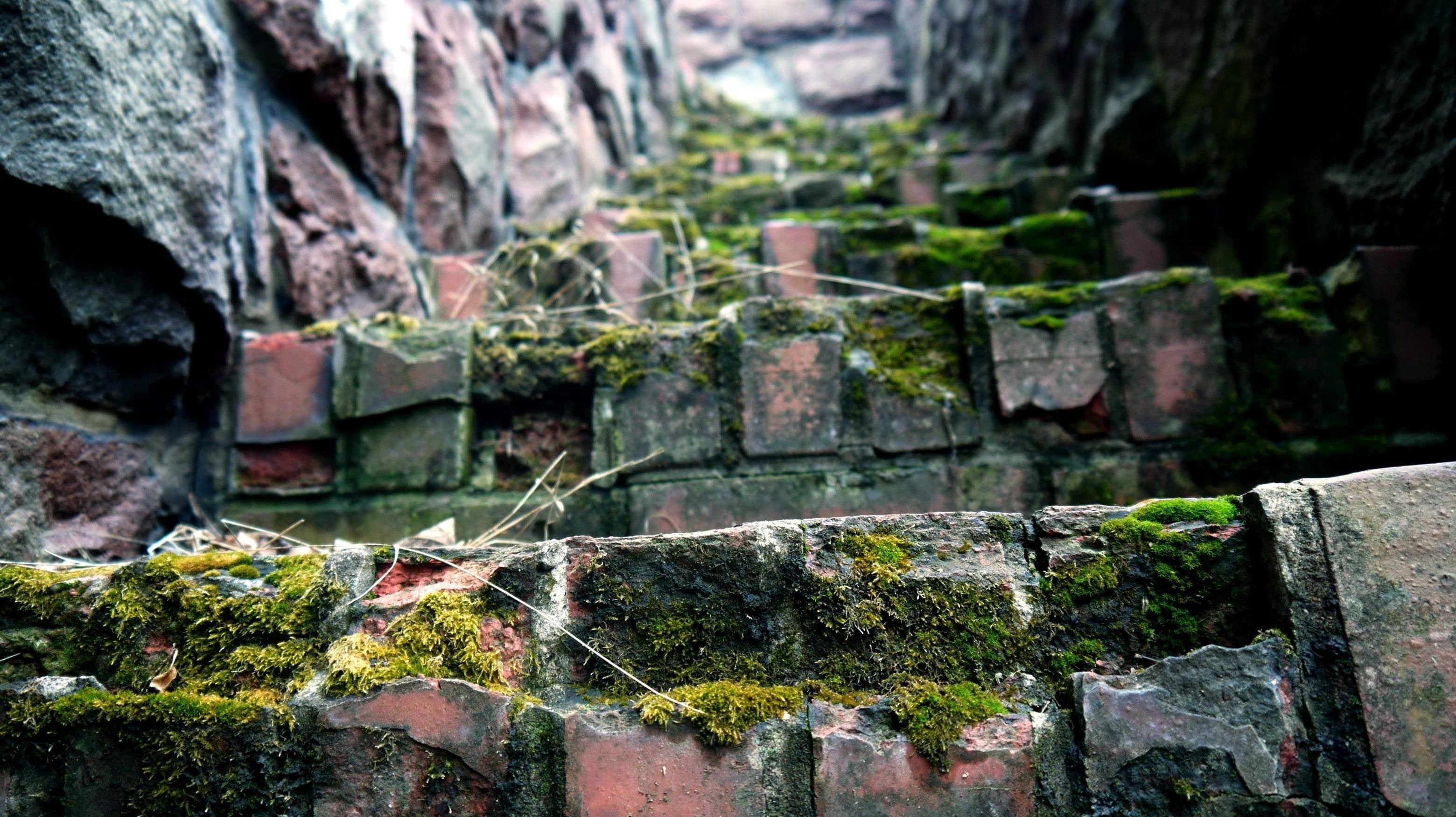 photography, day, green, rock - Object, lichen, stairs, solid, stone - Object, history, view, wall - Building Feature, moss, rock, outdoors, wall, famous Place, HD Wallpaper