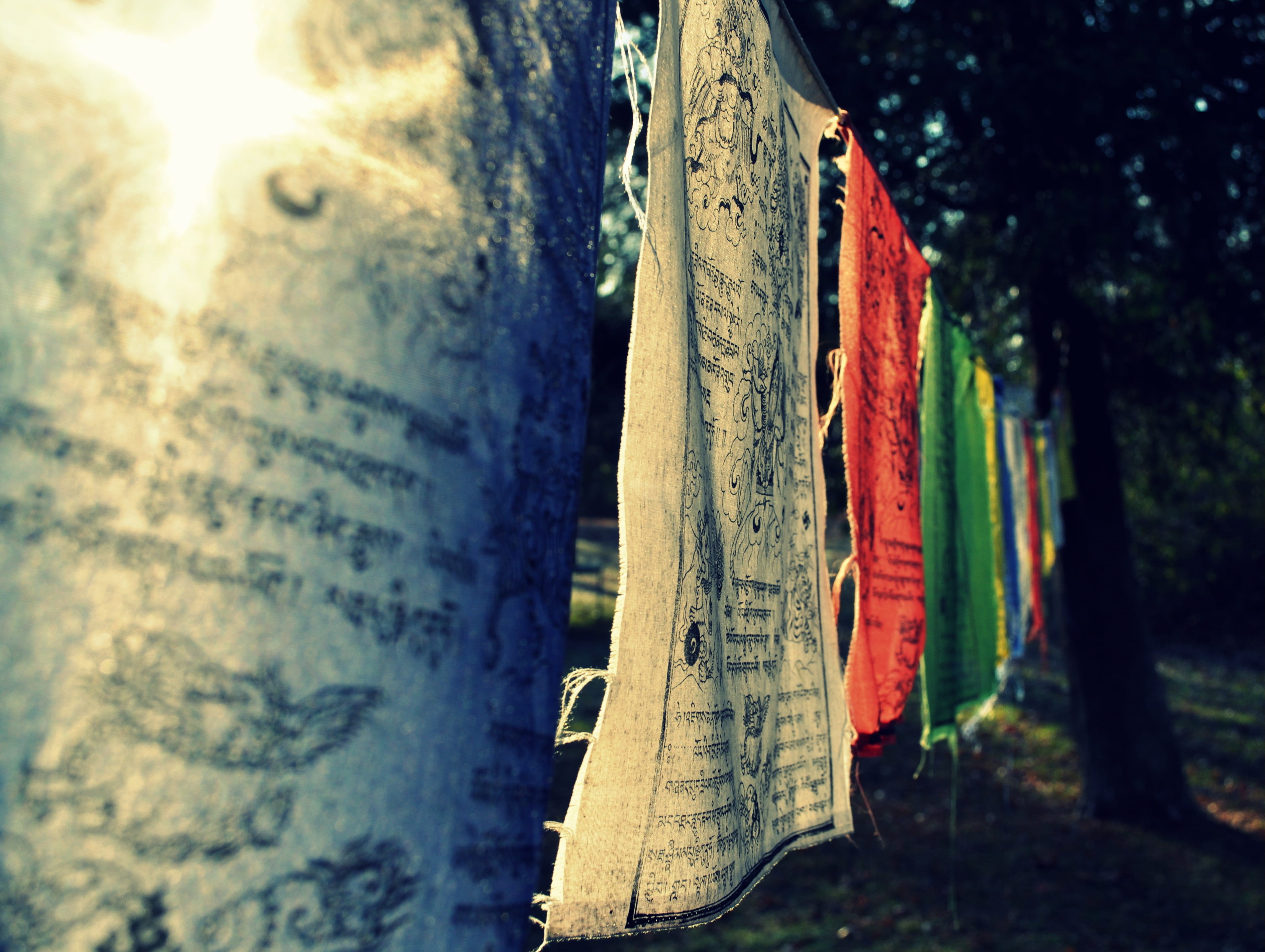 religion, land, group of objects, flag, day, tibetan prayer flags, selective focus, hanging, focus on foreground, tree trunk, wood - material, spirituality, HD Wallpaper
