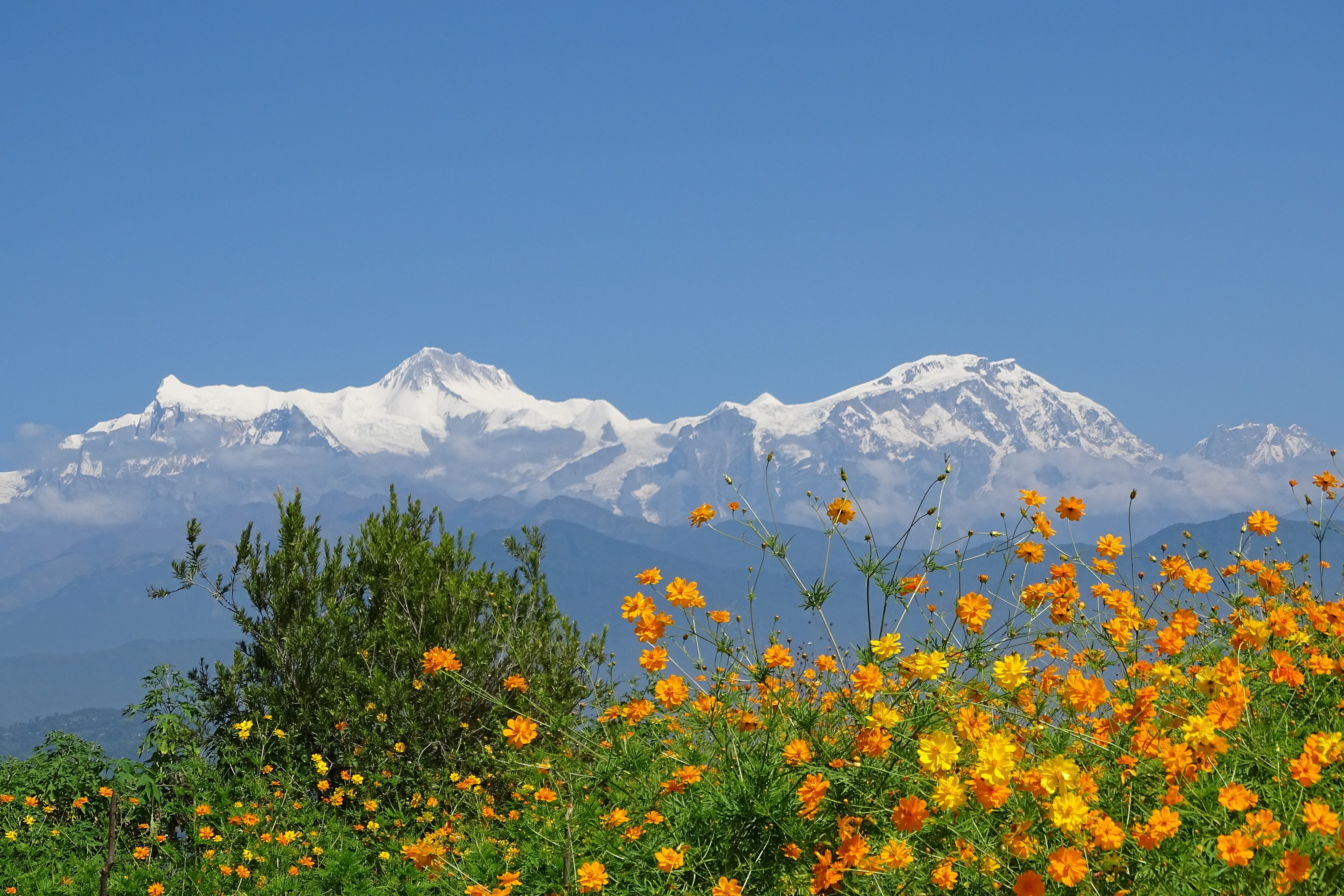 sunshine, mountain range, himalayas, tranquil scene, mountain, clear sky, blue, tree, cold temperature, sky, beauty in nature, annapurna, day s, snowcapped mountain, HD Wallpaper