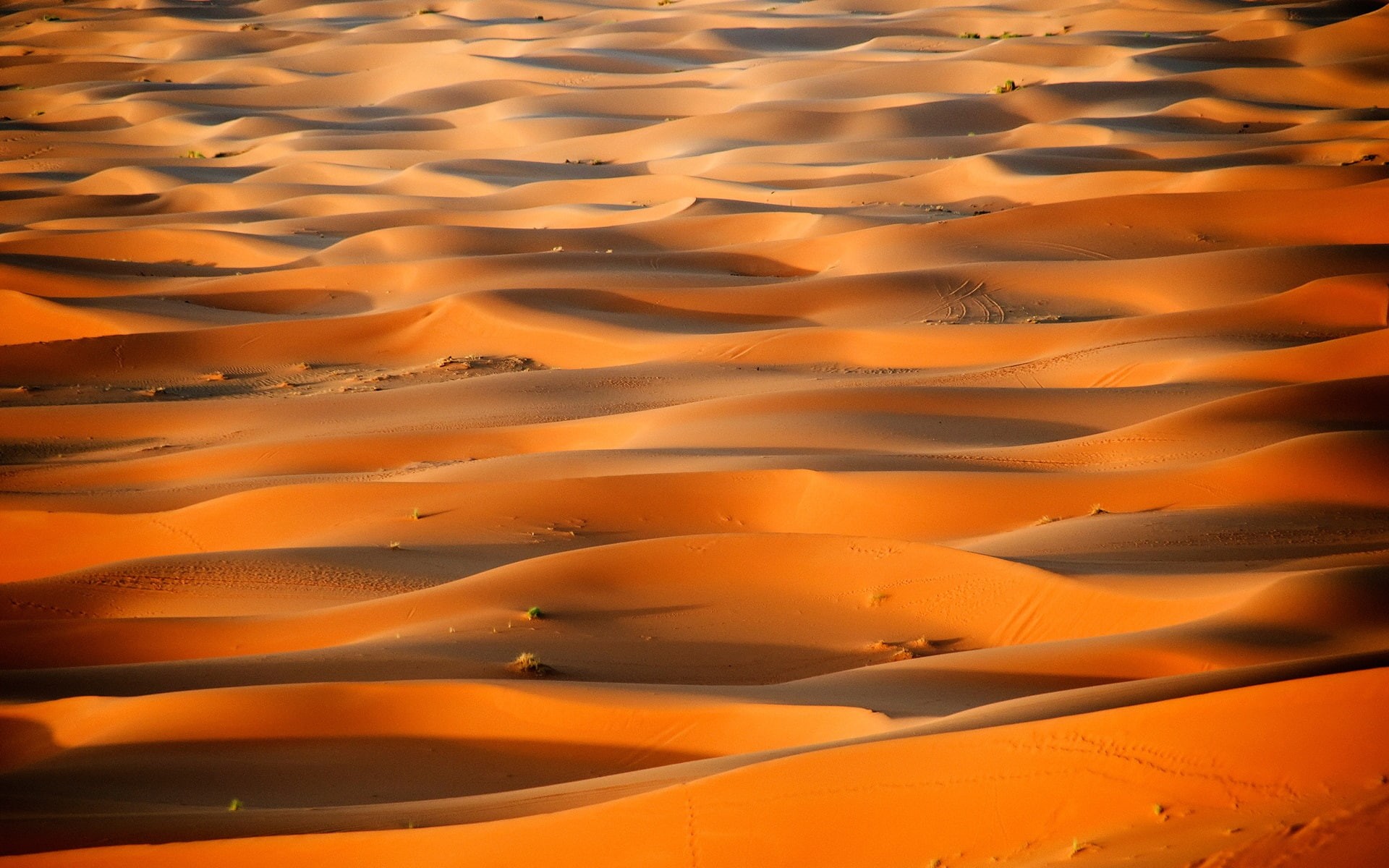 Sahara, Desert, Dunes, 1080P, Morocco, Africa, HD Wallpaper