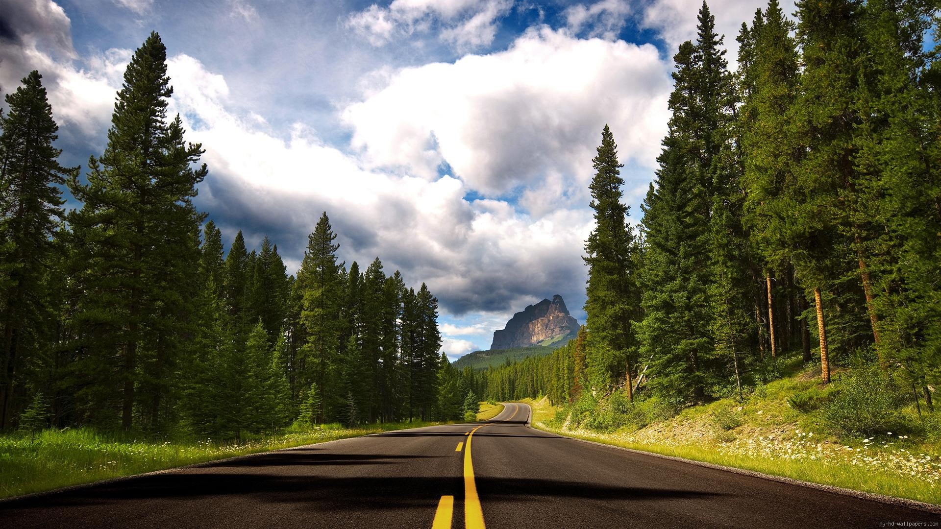 cloud, surrounded, moutain, 1080P, trees, way, forest, landscape, road, HD Wallpaper