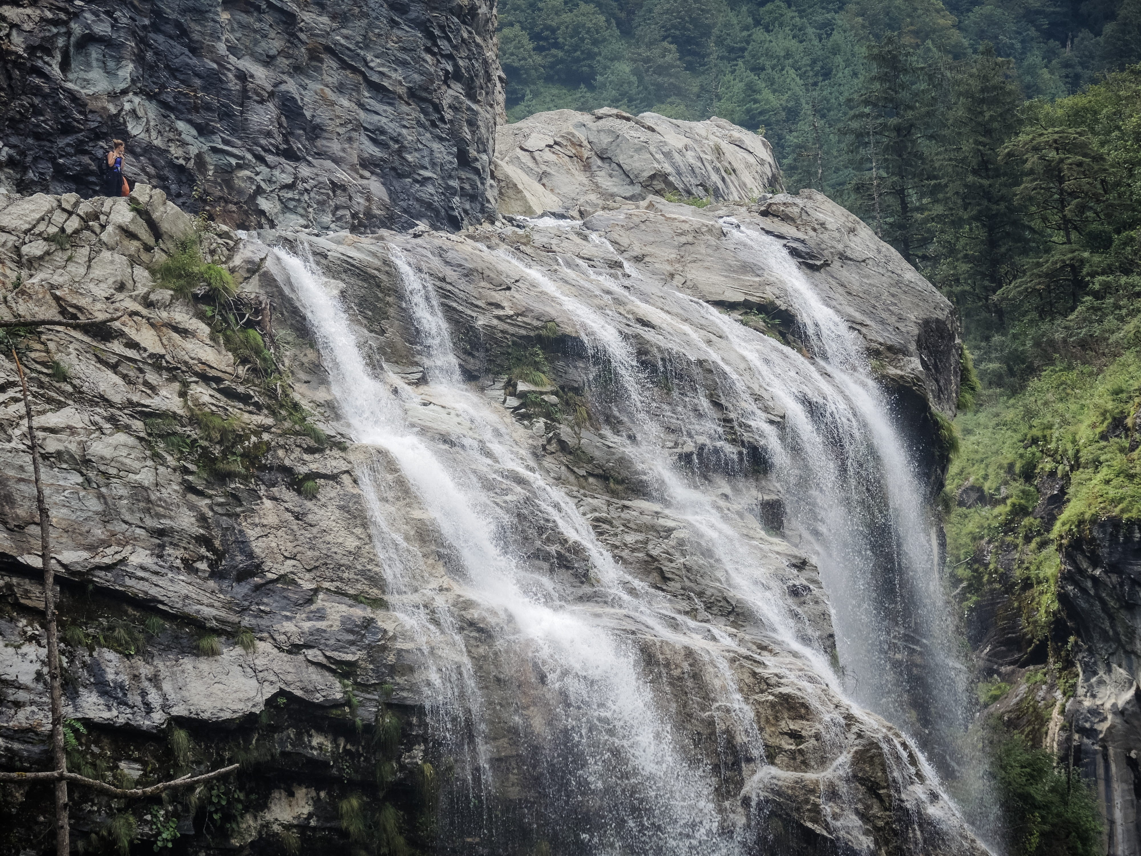 plant, solid, hike, annapurna massif, flowing water, blurred motion, outdoors, 4K, no people, formation, rainforest, tree, trees, mountain, trek, rock, HD Wallpaper
