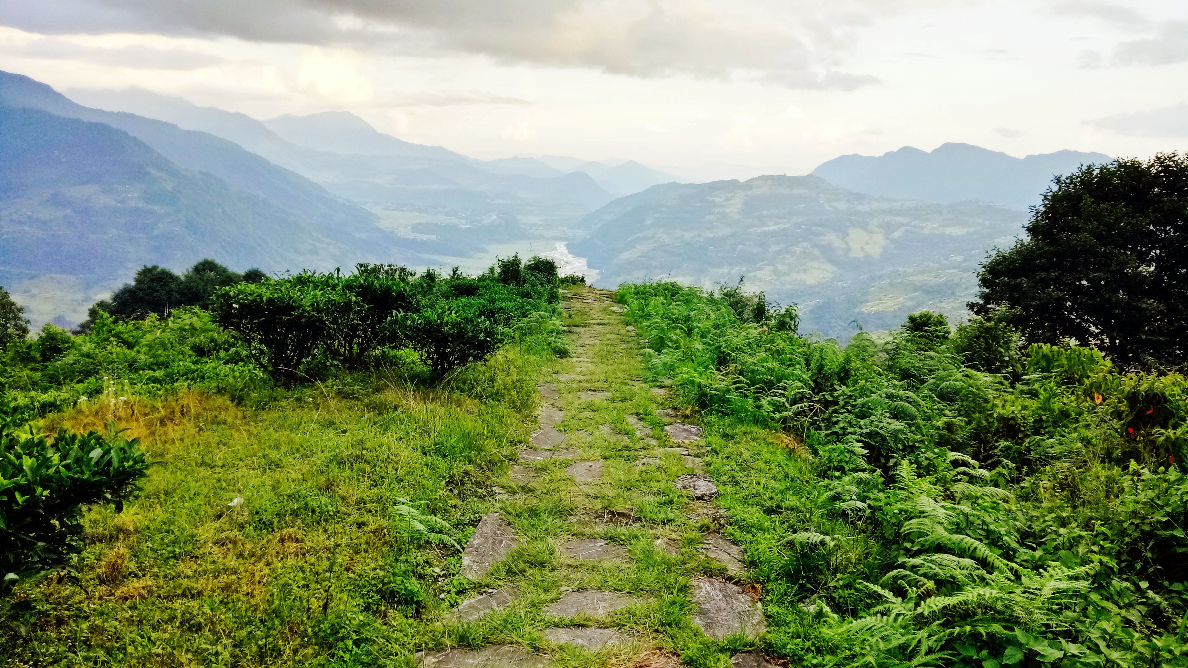 plant, nature, mountain, land, environment, footpath, mountain range, scenics - nature, landscape, tranquil scene, direction, non-urban scene, trail, 4K, HD Wallpaper