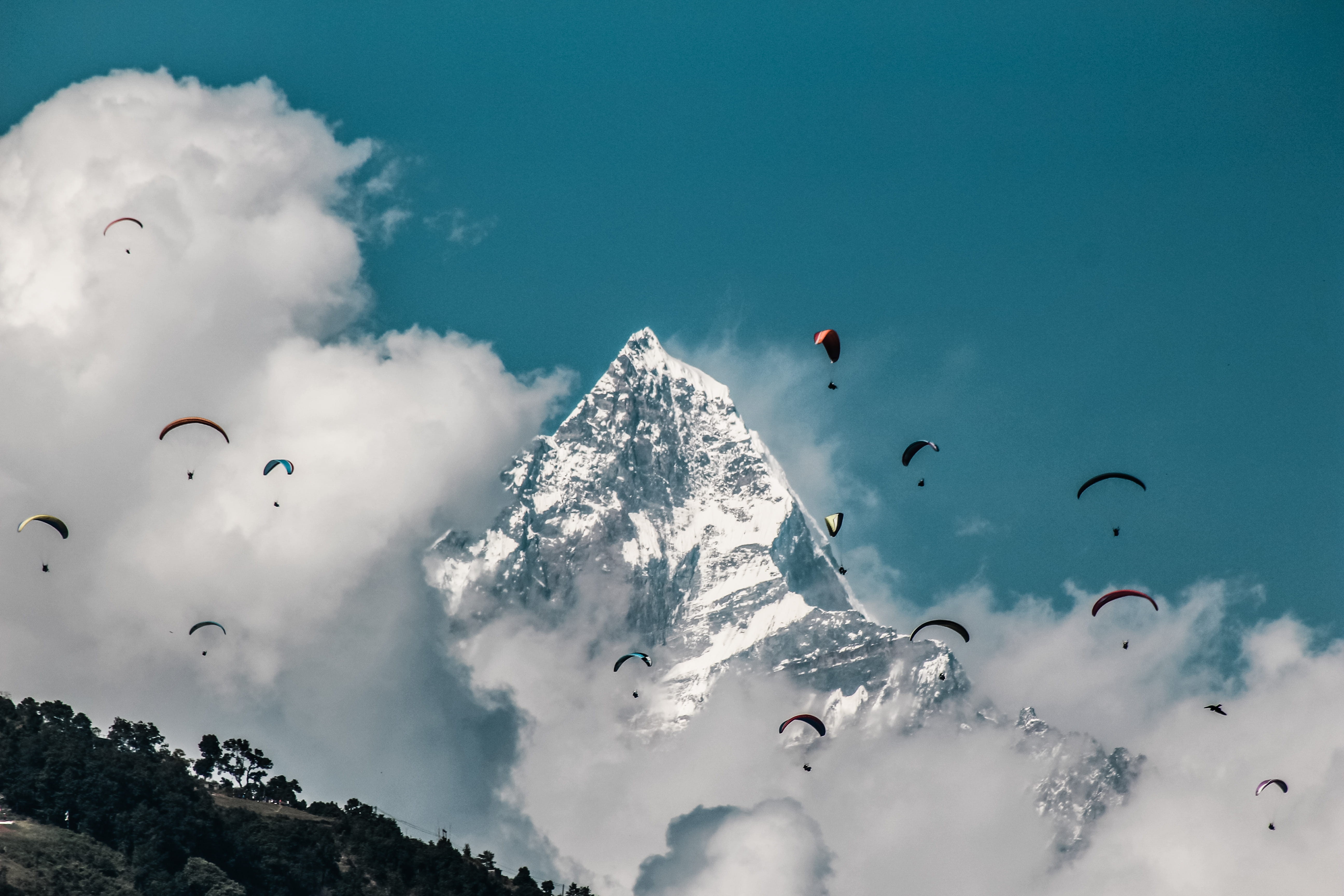 environment, beauty in nature, tranquility, vegetation, day, tree, nepal, flying, rainforest, low angle view, scenics - nature, winter, blue, land, mid-air, HD Wallpaper